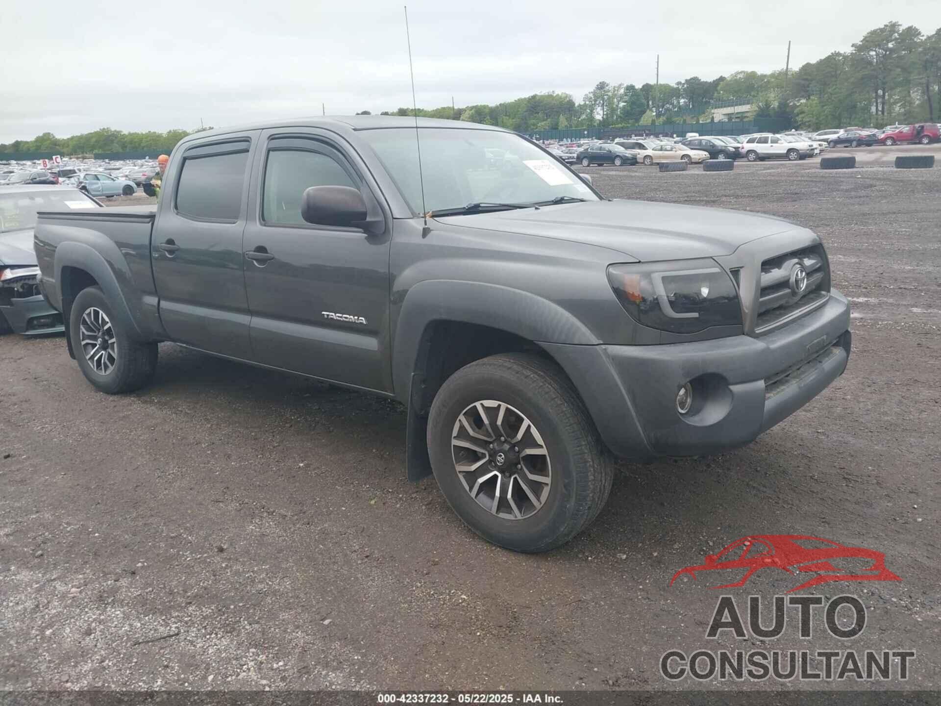 TOYOTA TACOMA 2009 - 3TMMU52N19M015371