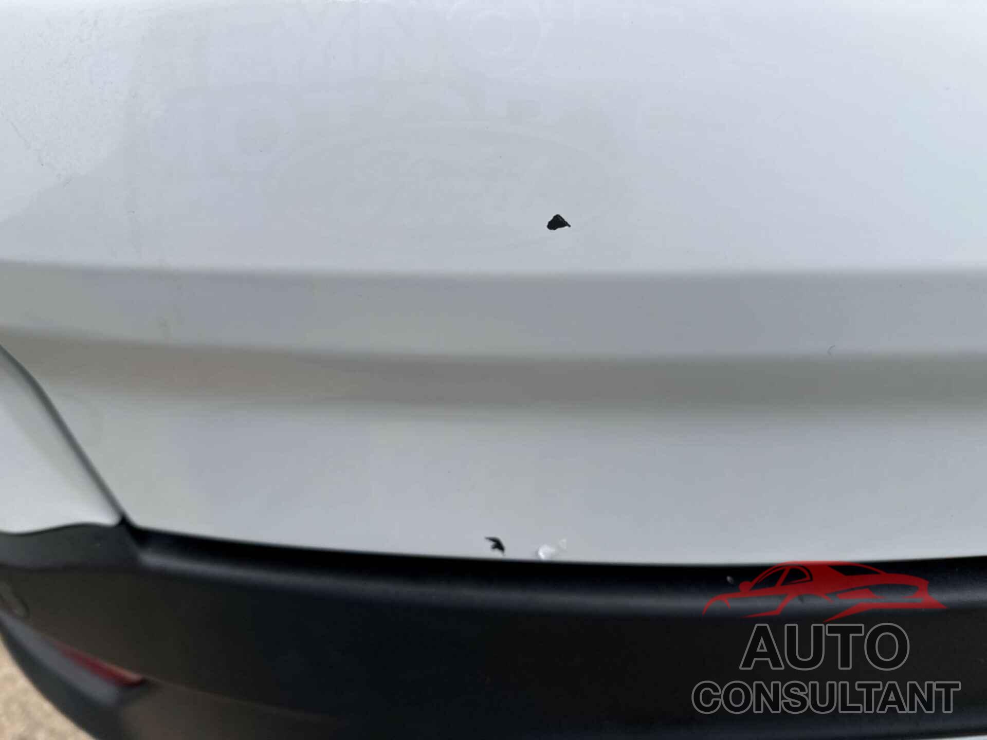 FORD ESCAPE 2019 - 1FMCU9GD9KUC36989
