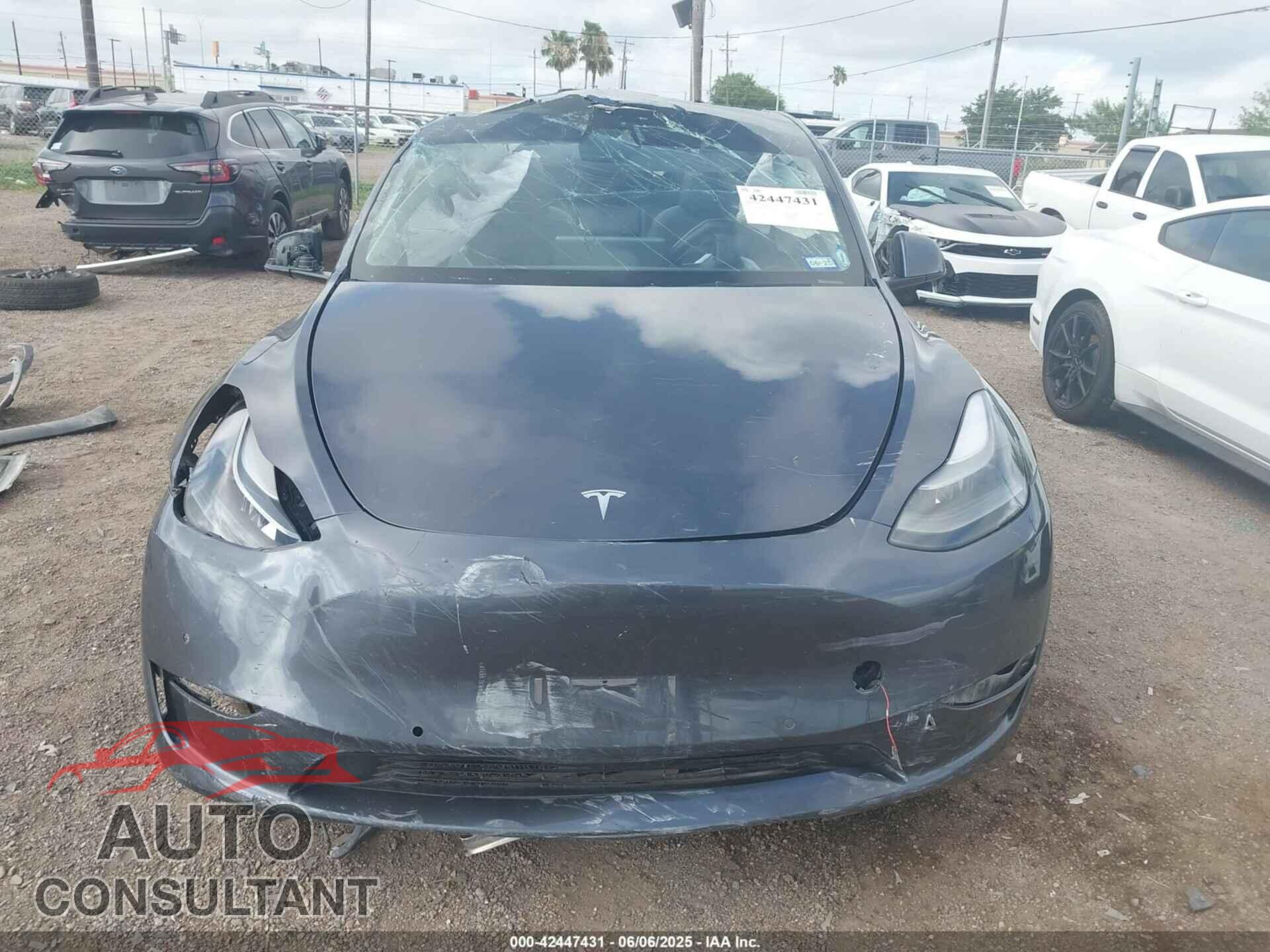 TESLA MODEL Y 2022 - 7SAYGDEF0NF451671