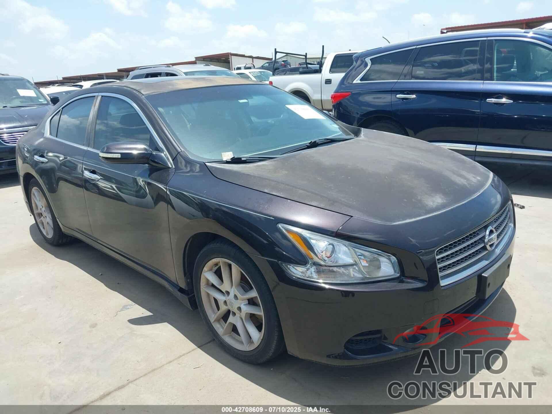 NISSAN MAXIMA 2011 - 1N4AA5AP2BC810053