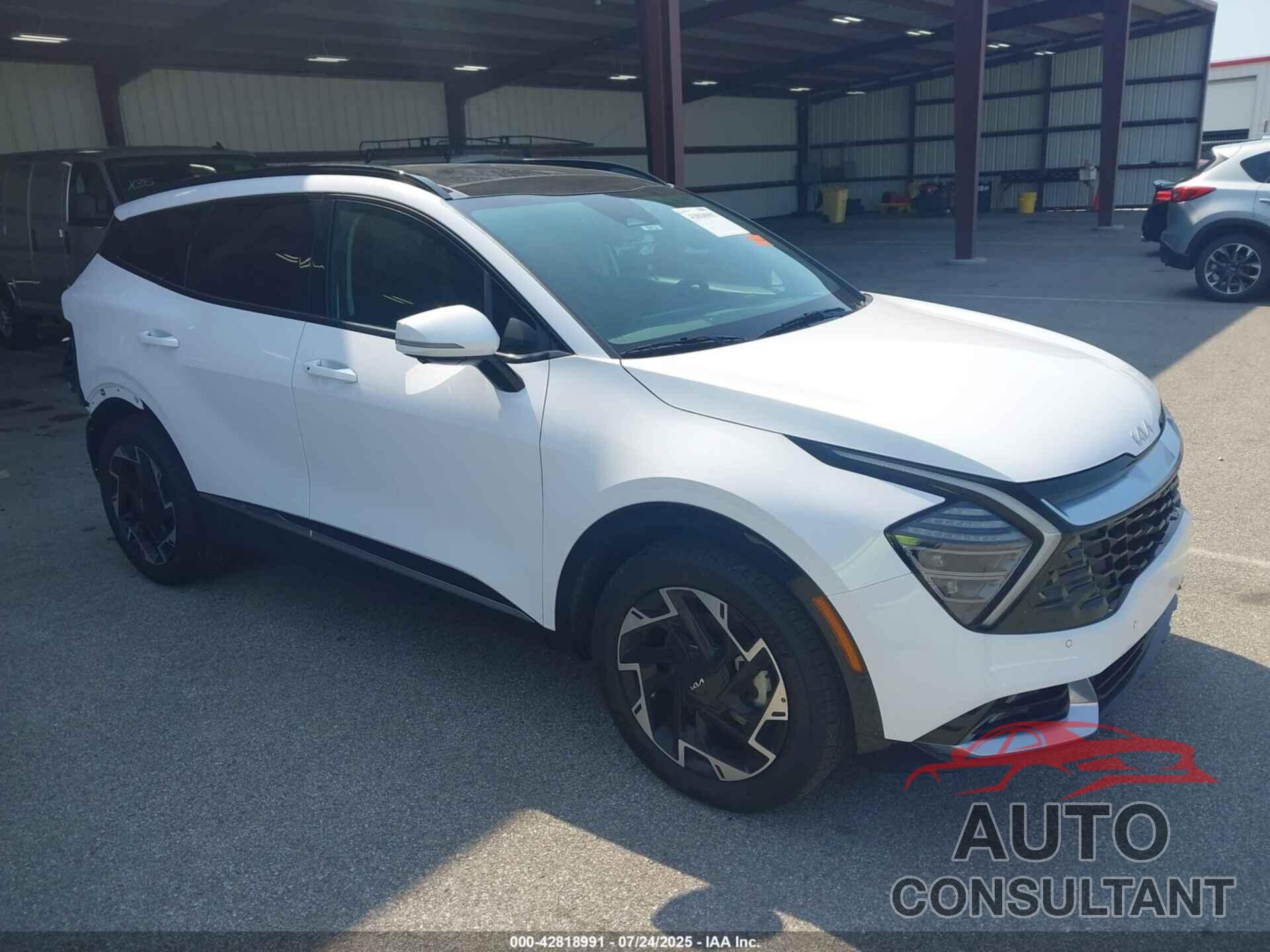KIA SPORTAGE 2024 - 5XYK53DF1RG188643