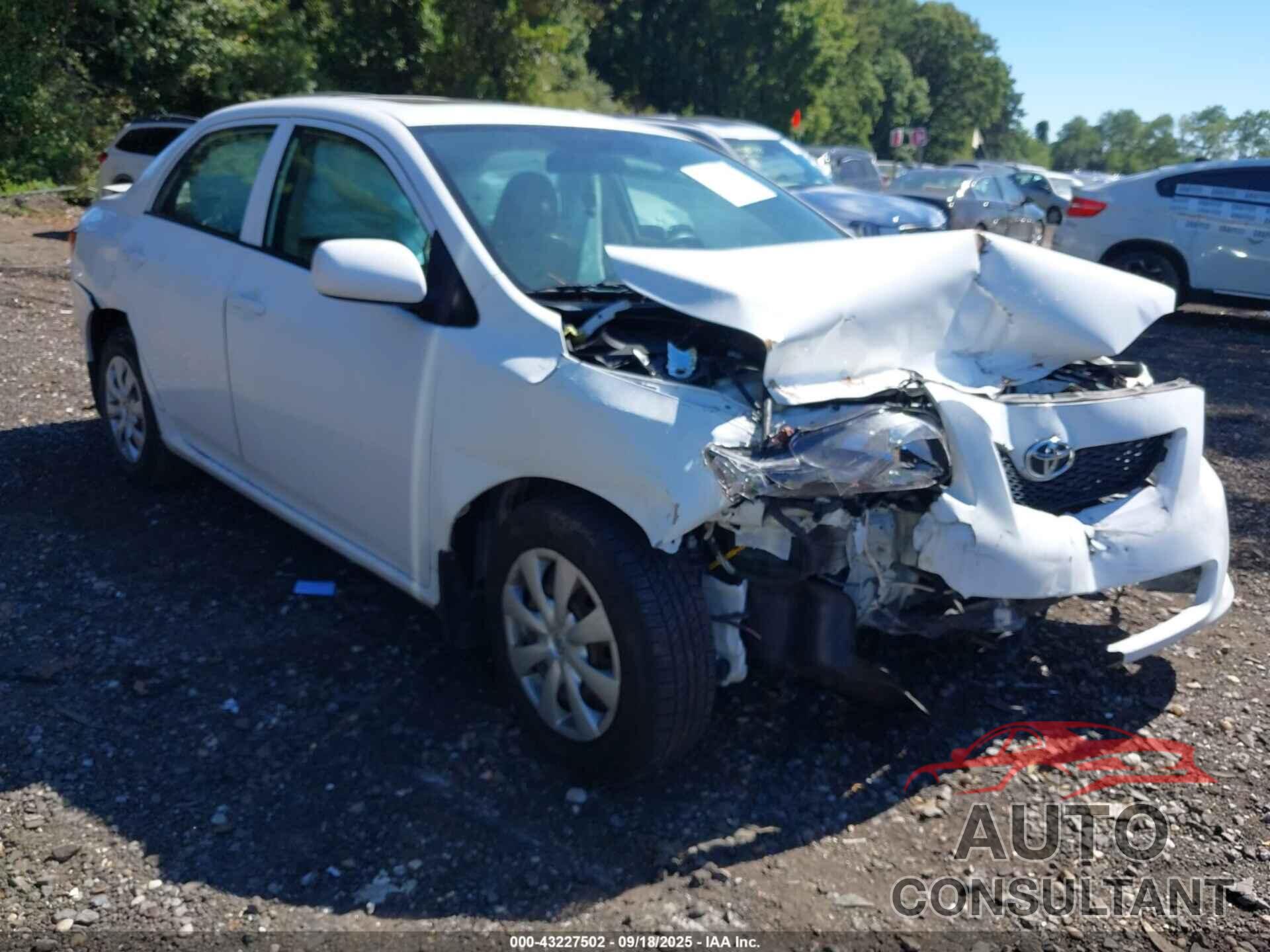 TOYOTA COROLLA 2009 - 2T1BU40E79C140002