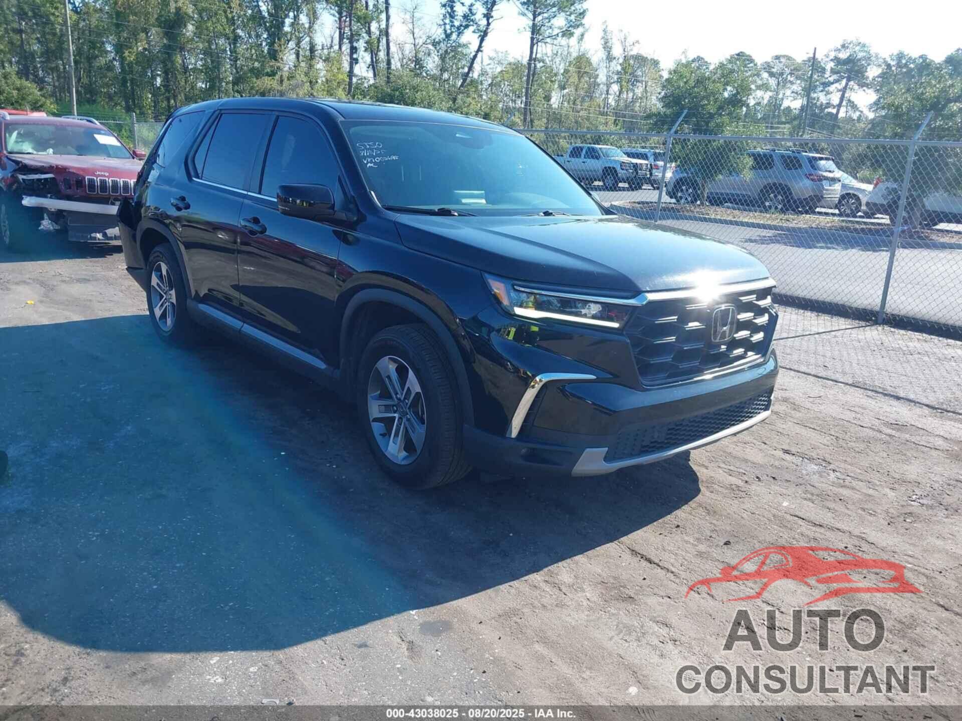 HONDA PILOT 2024 - 5FNYG2H43RB002695