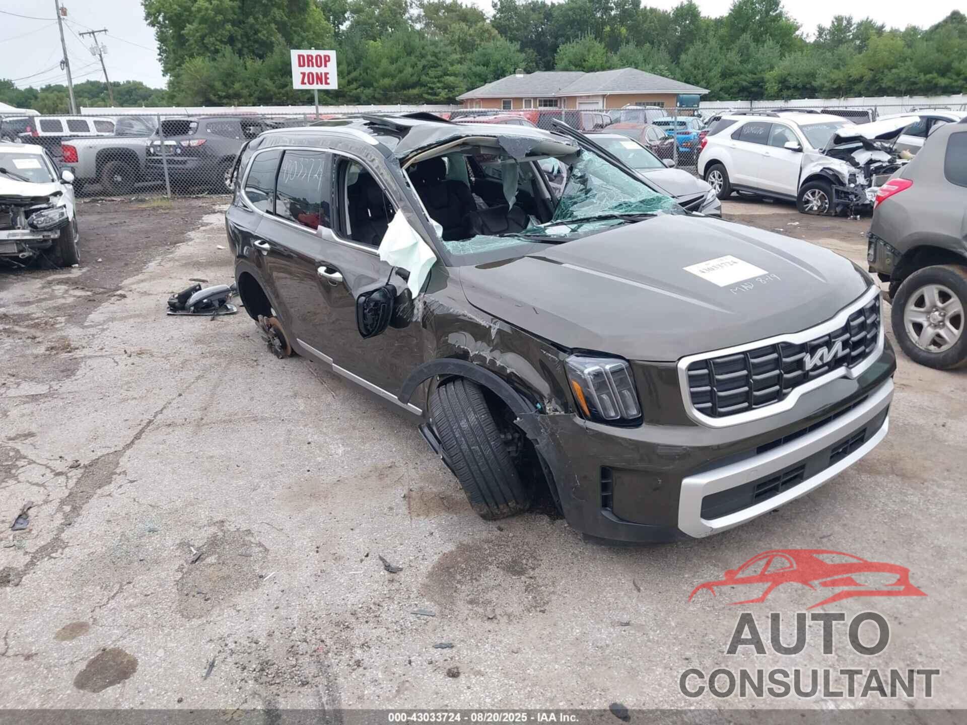 KIA TELLURIDE 2024 - 5XYP6DGC7RG530106