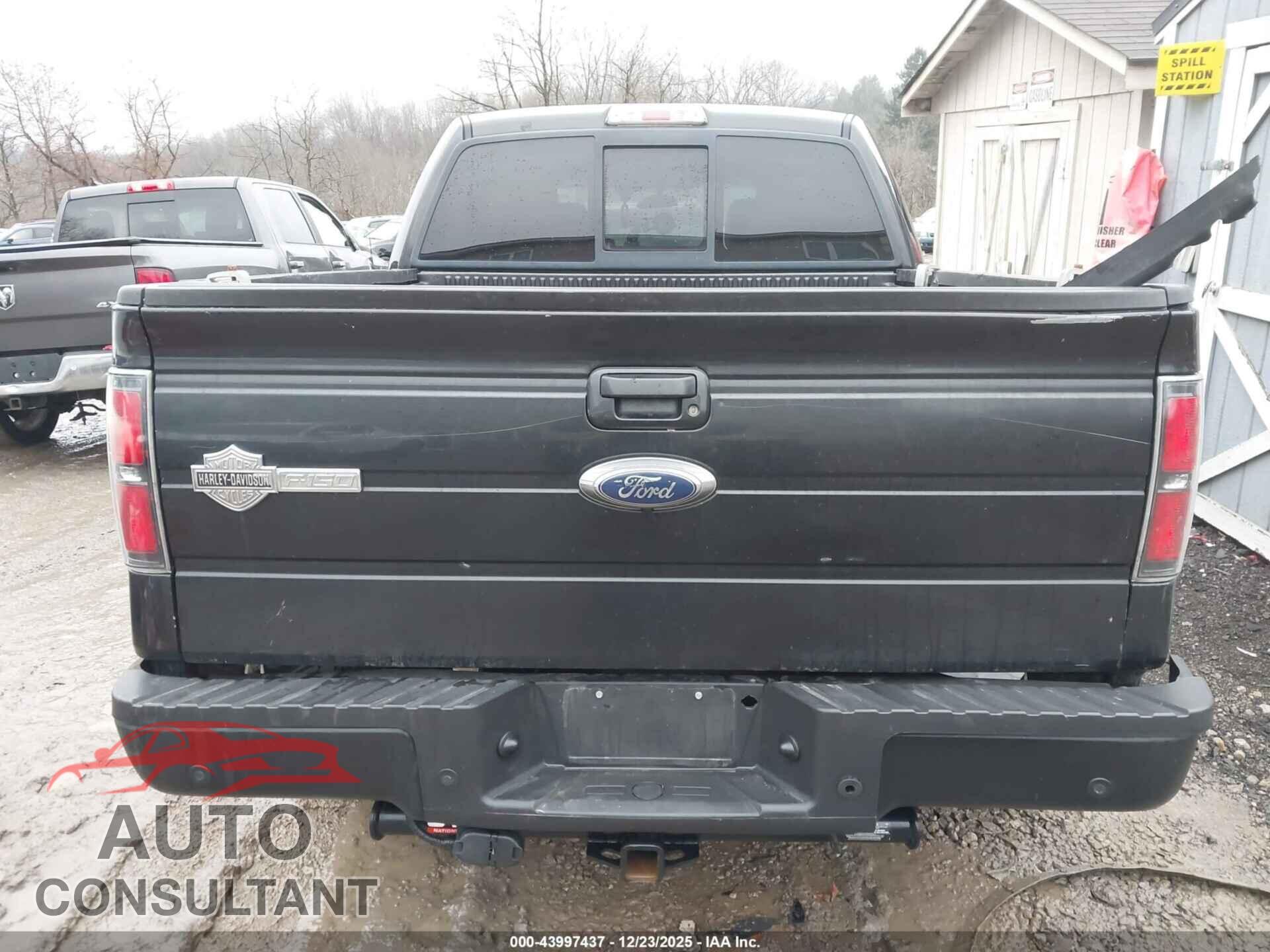 FORD F-150 2010 - 1FTFW1EV4AFC22316
