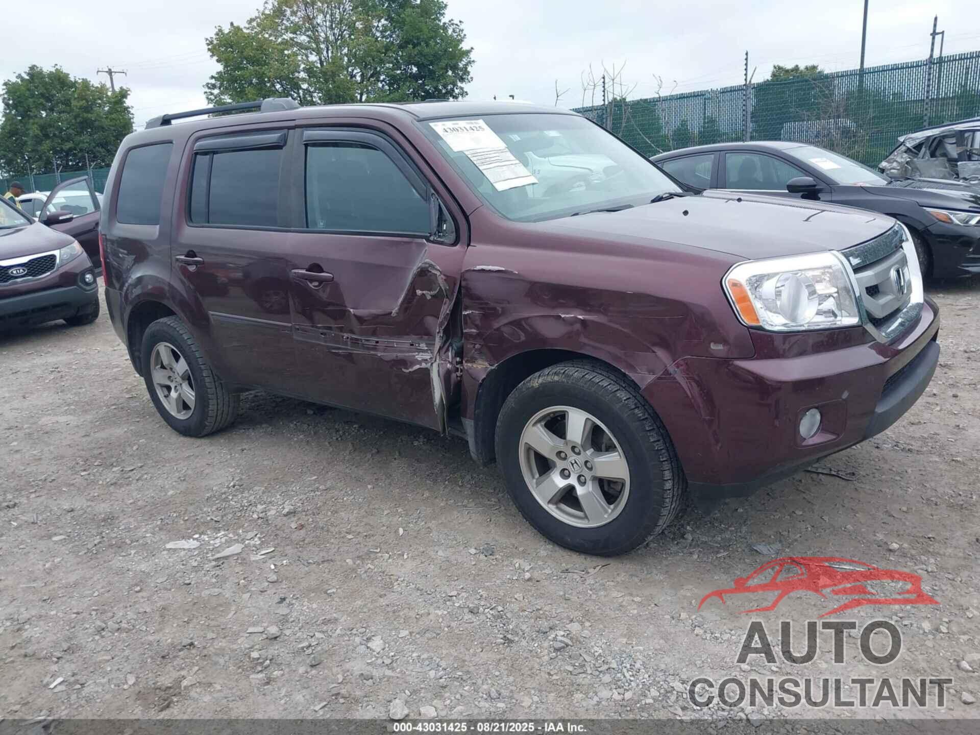 HONDA PILOT 2010 - 5FNYF4H43AB020262