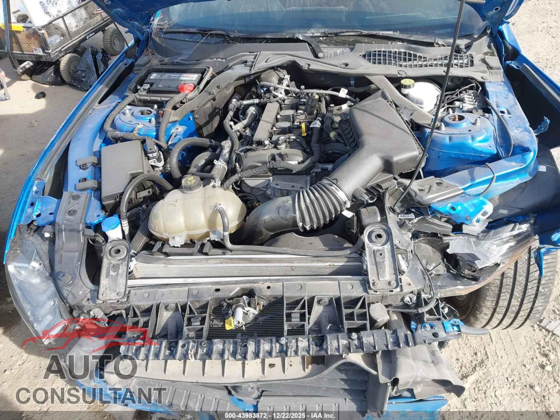 FORD MUSTANG 2021 - 1FATP8UHXM5114433
