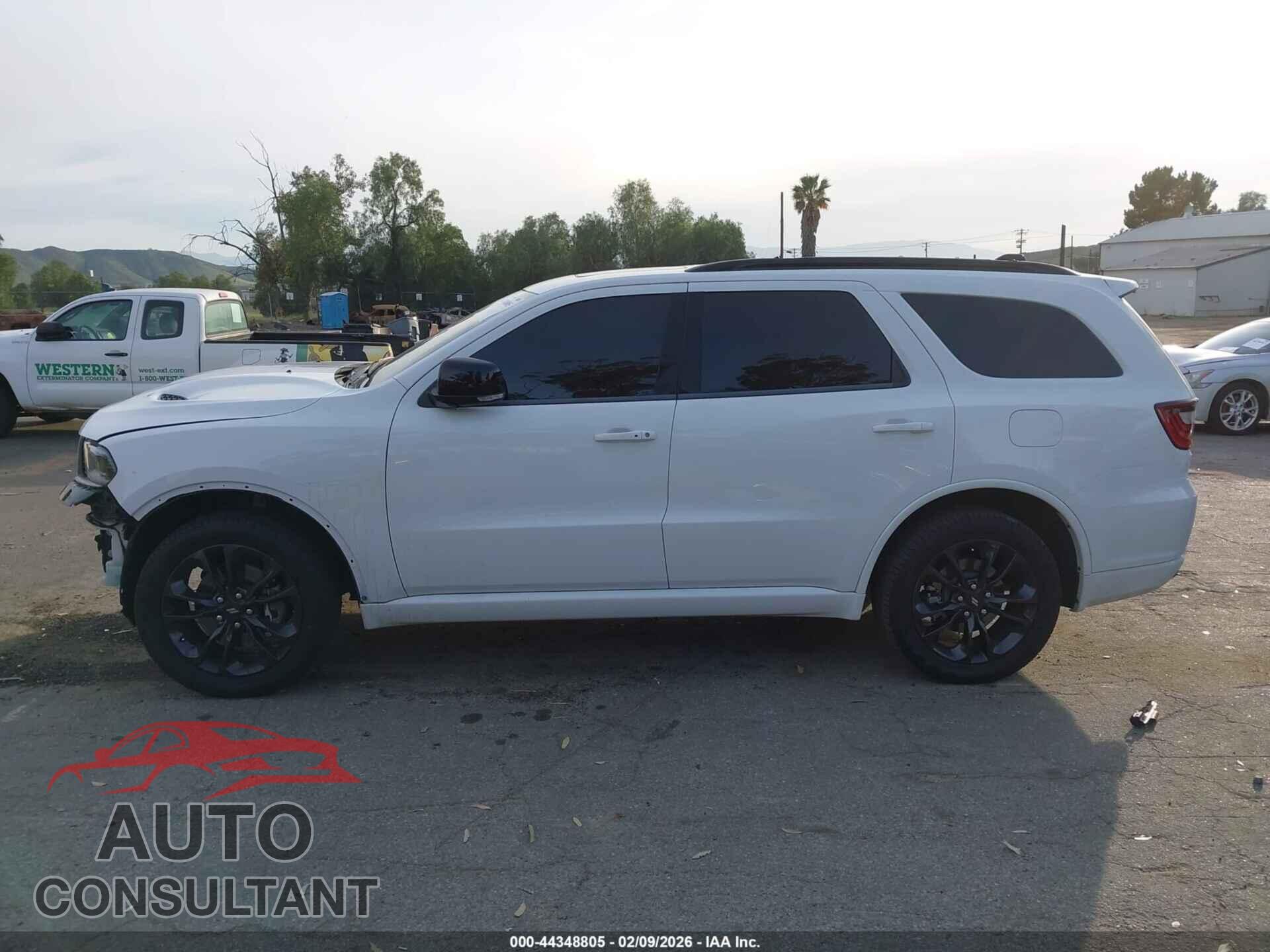 DODGE DURANGO 2023 - 1C4RDJDG2PC690335