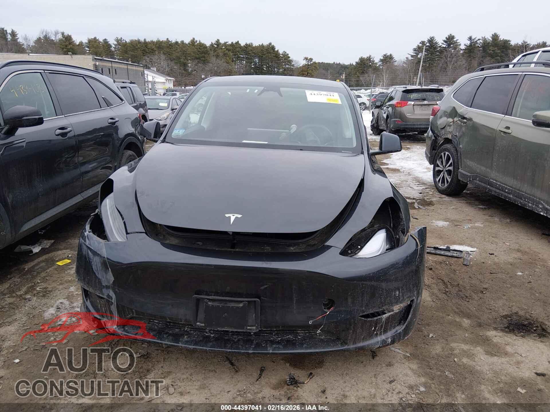 TESLA MODEL Y 2024 - 7SAYGAEE3RF009589