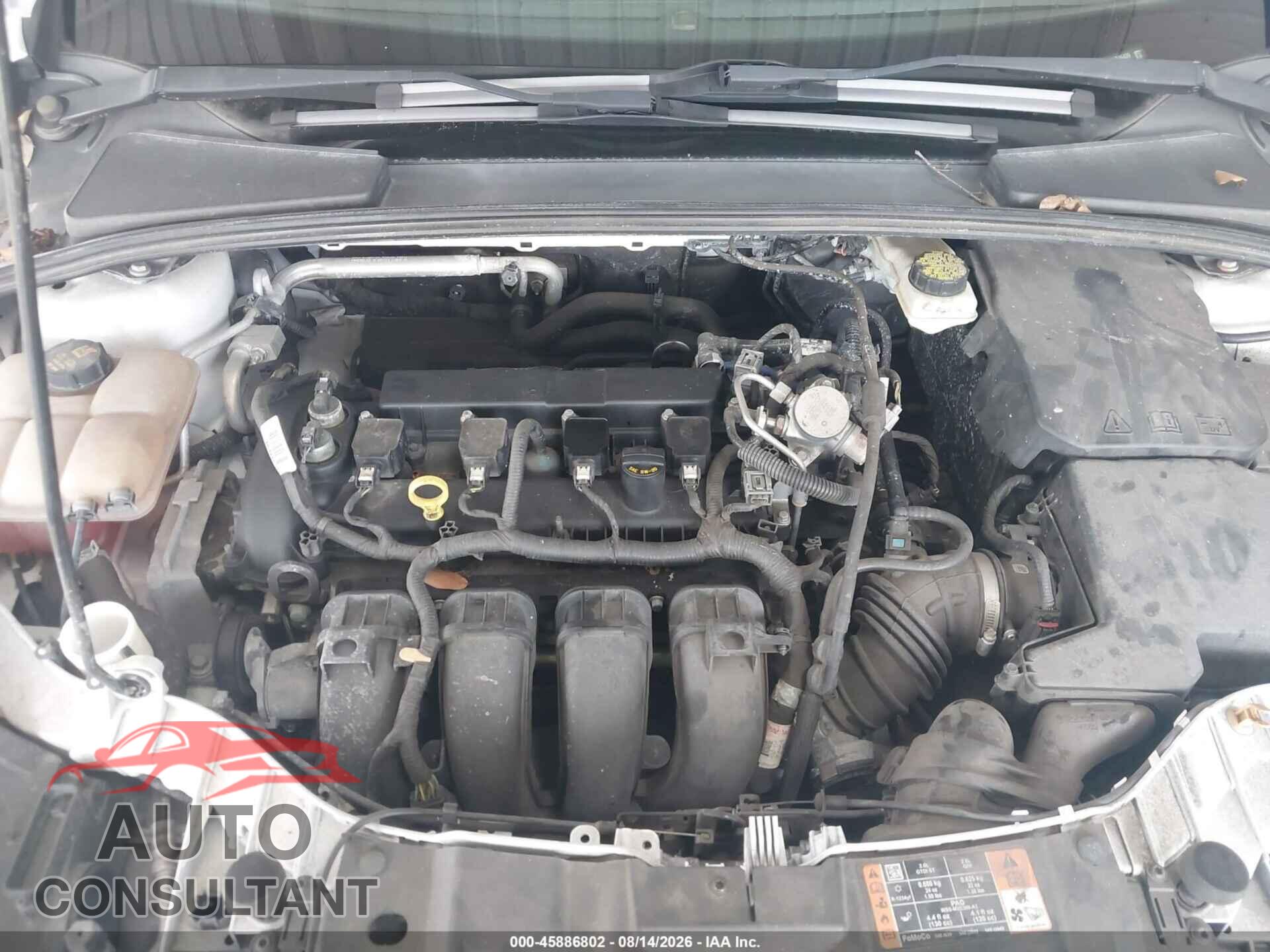 FORD FOCUS 2017 - 1FADP3F20HL246439