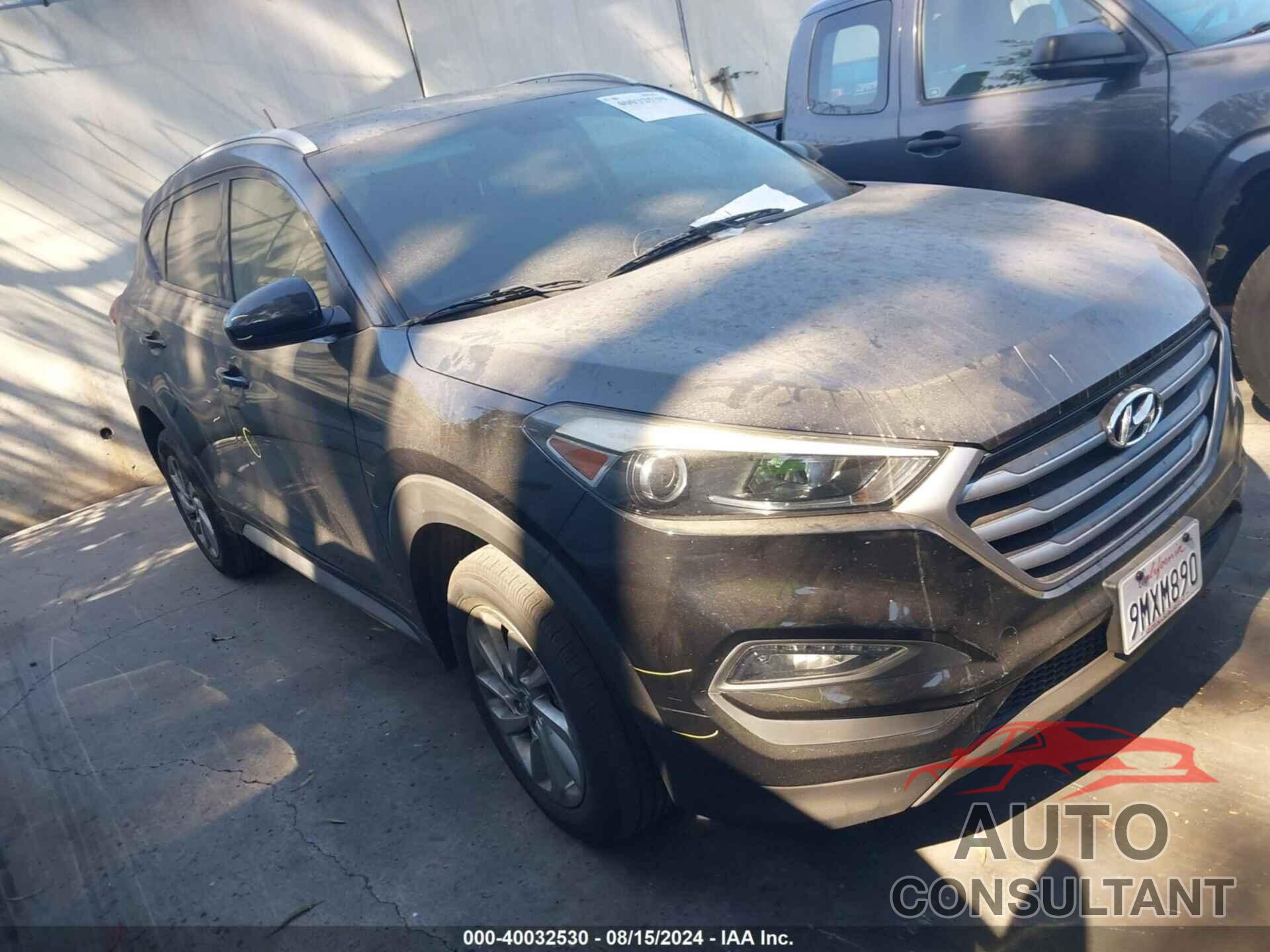 HYUNDAI TUCSON 2017 - KM8J33A43HU554972