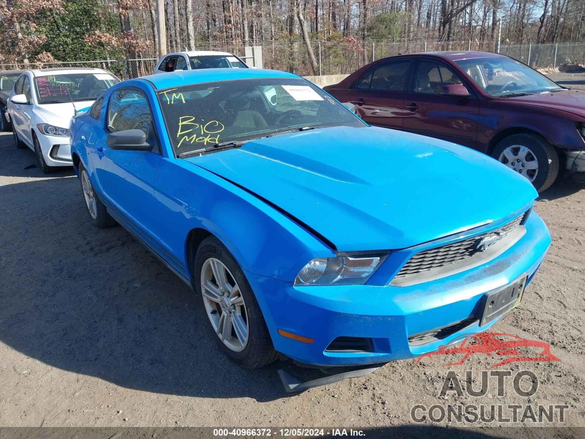 FORD MUSTANG 2010 - 1ZVBP8AN4A5176726