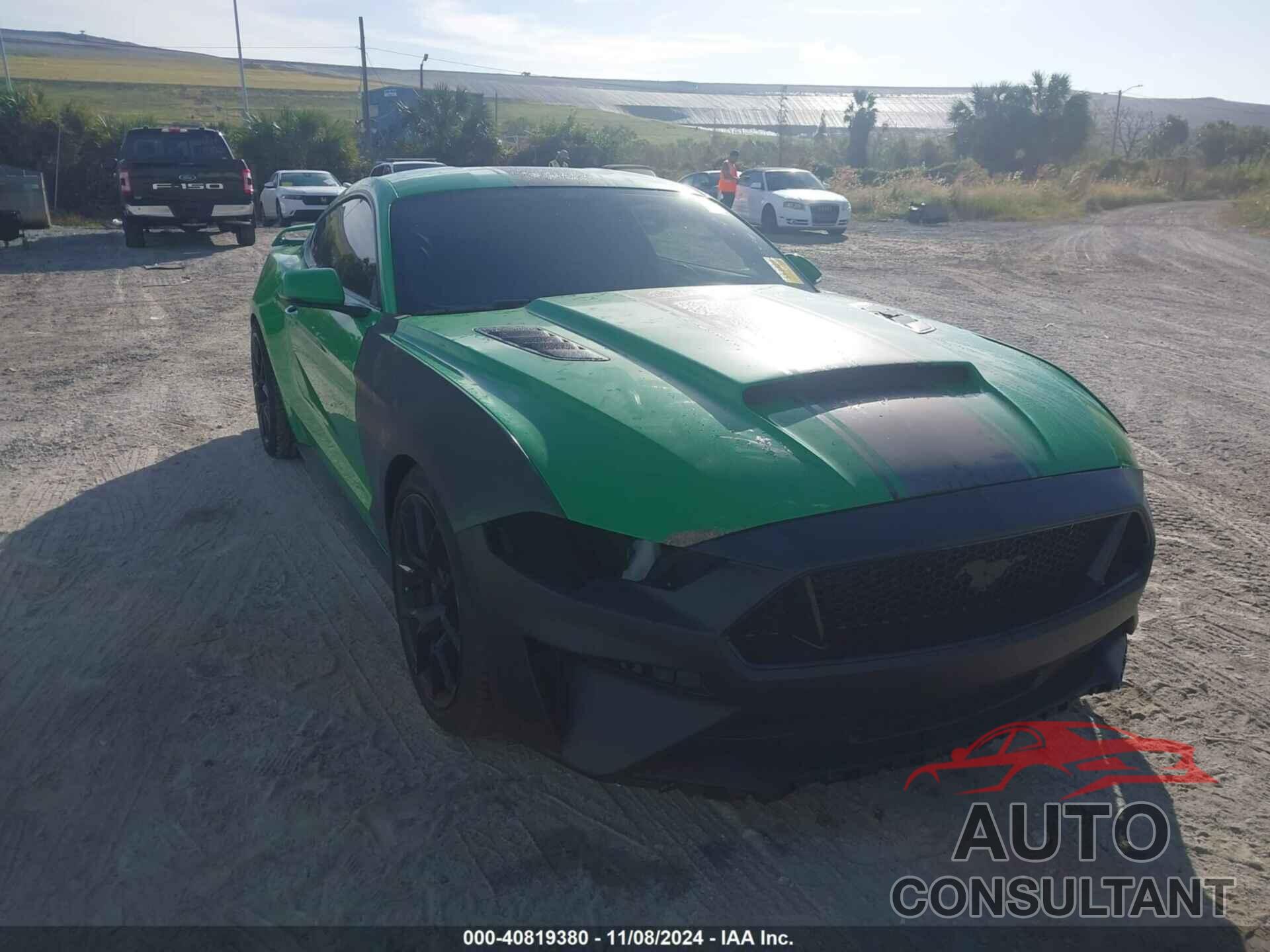 FORD MUSTANG 2019 - 1FA6P8CF9K5157266