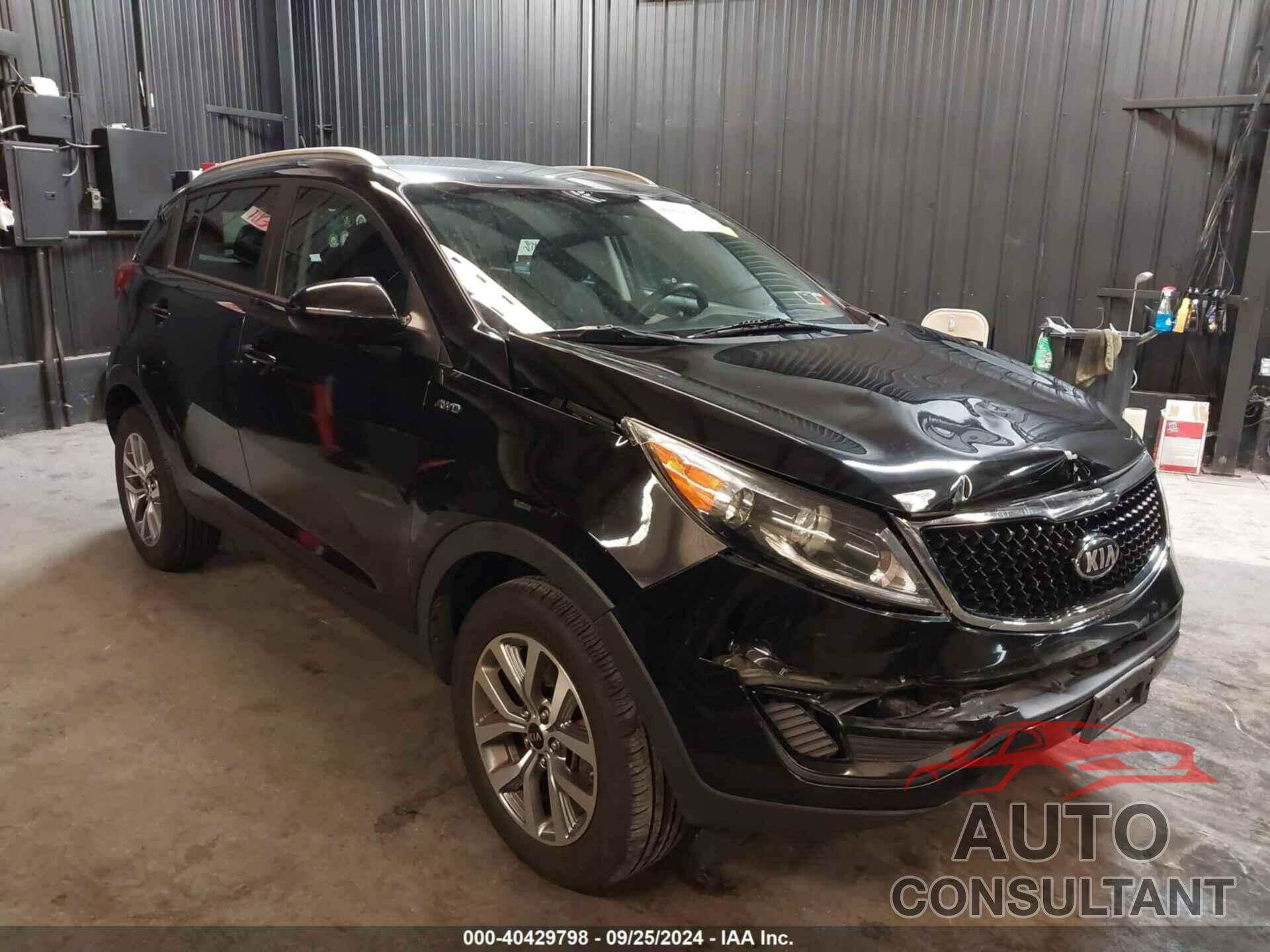 KIA SPORTAGE 2016 - KNDPBCAC6G7873434