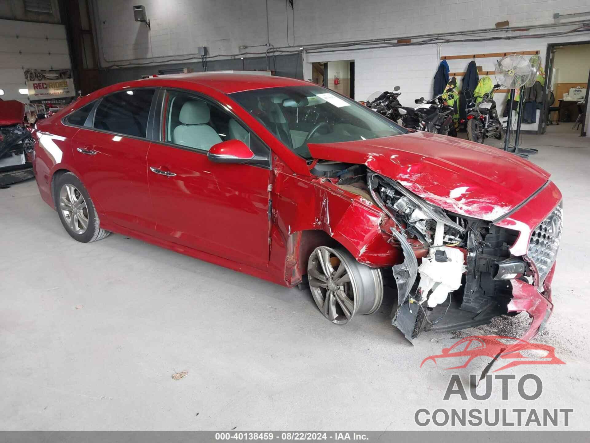 HYUNDAI SONATA 2019 - 5NPE34AF3KH764387