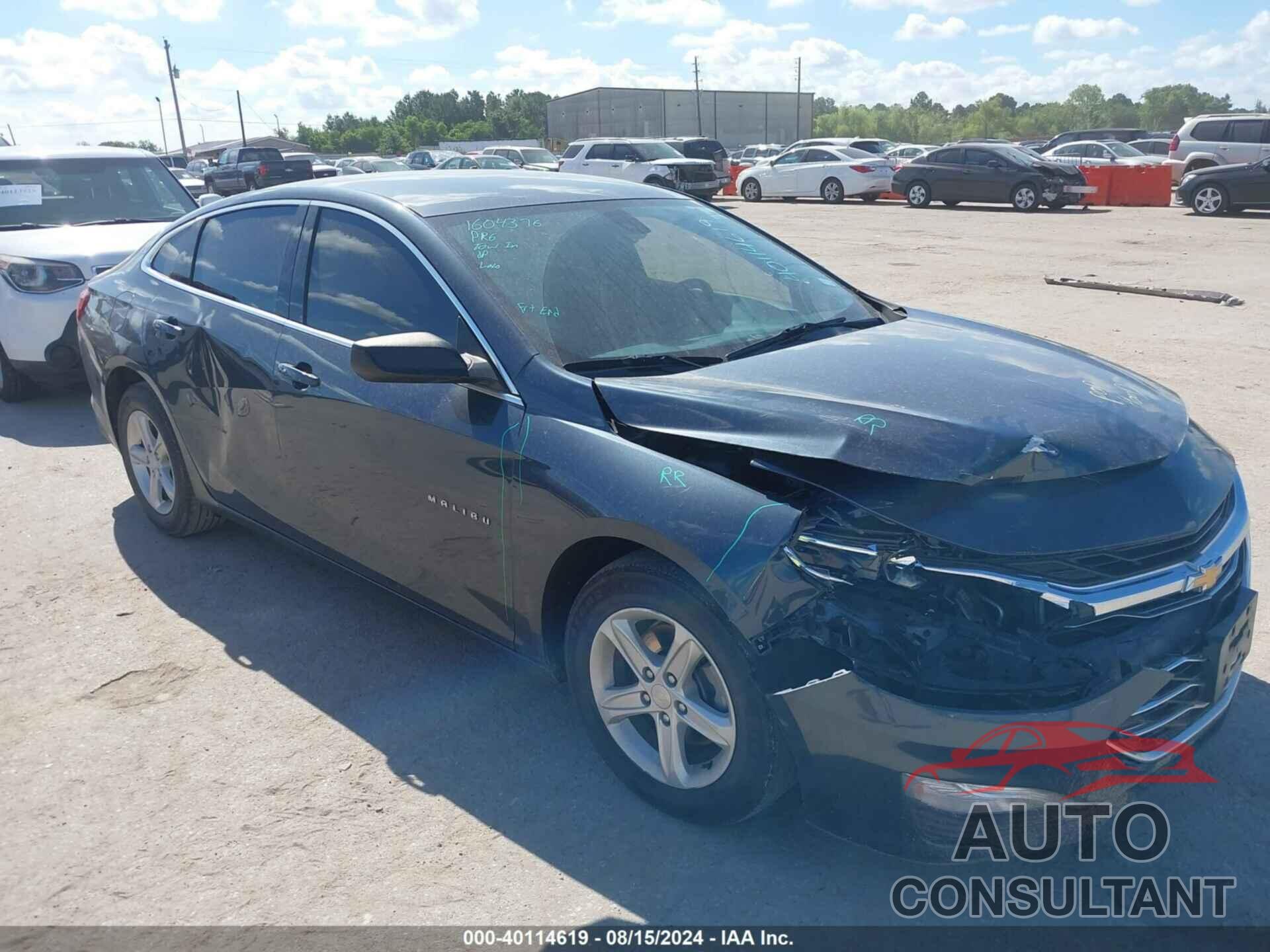 CHEVROLET MALIBU 2019 - 1G1ZB5ST8KF220632