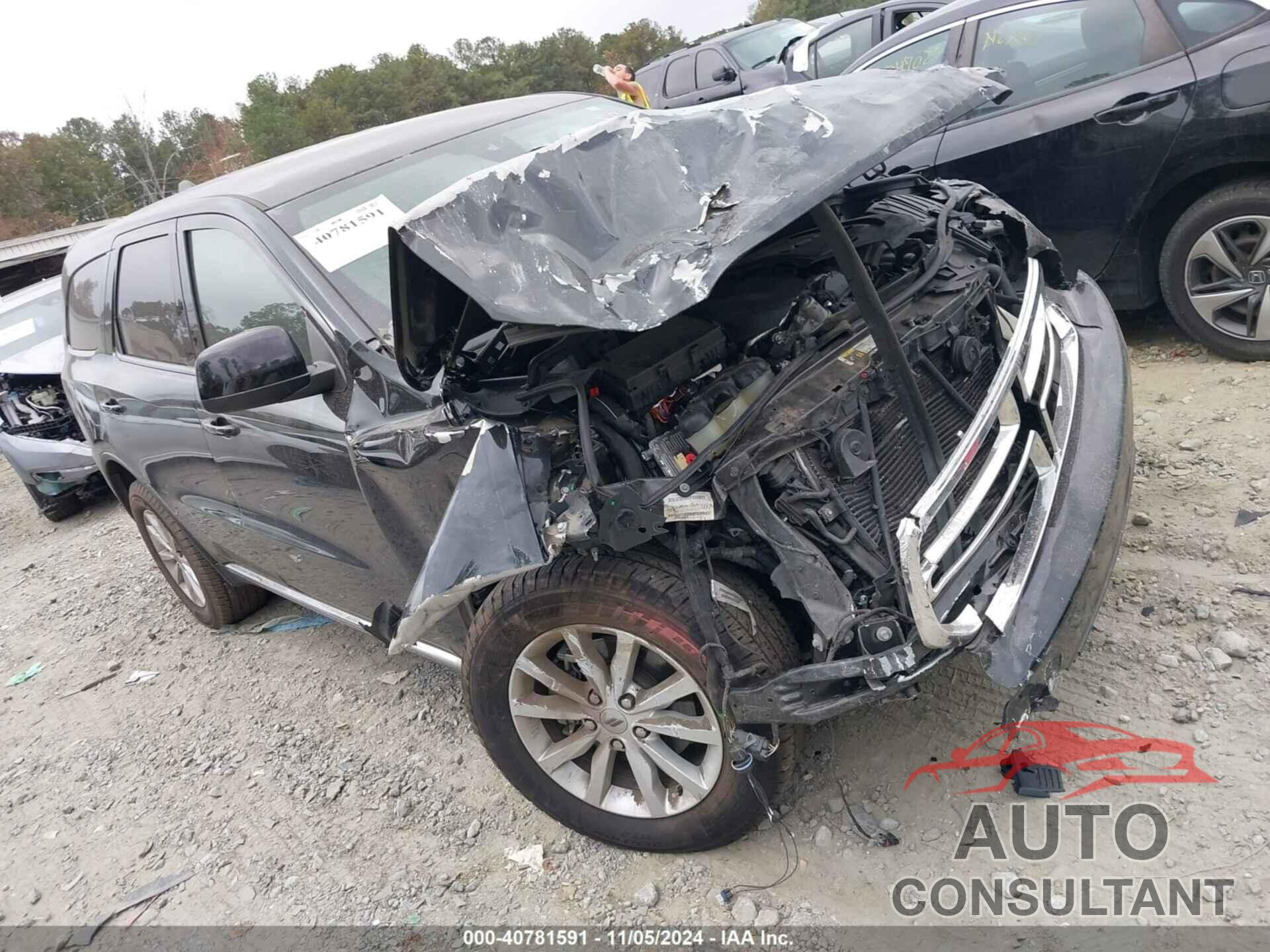 DODGE DURANGO 2019 - 1C4RDHAG8KC659256