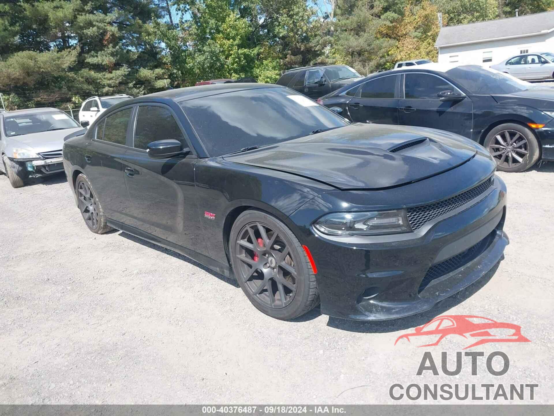 DODGE CHARGER 2017 - 2C3CDXGJ2HH605724