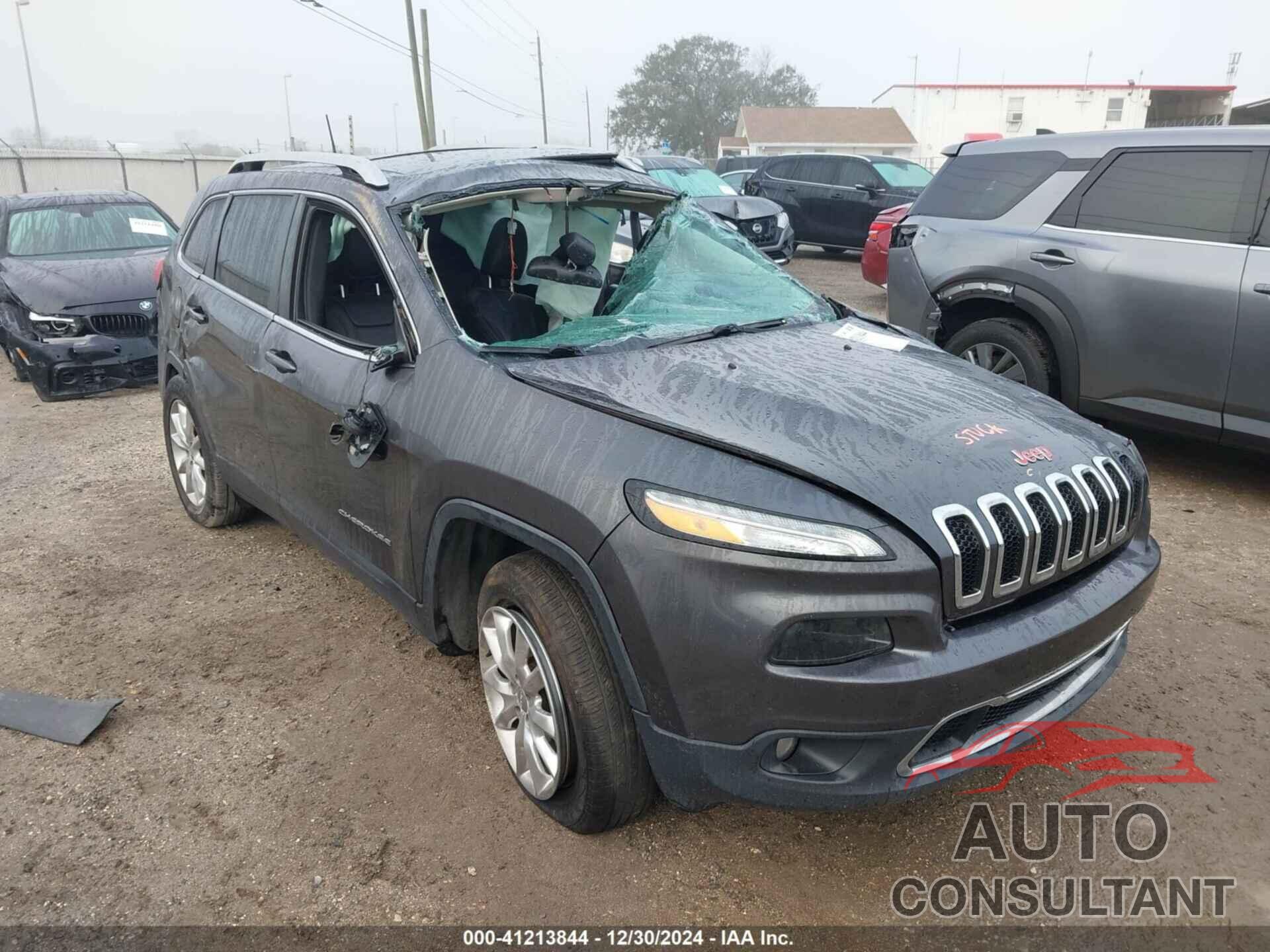JEEP CHEROKEE 2016 - 1C4PJMDB3GW206225