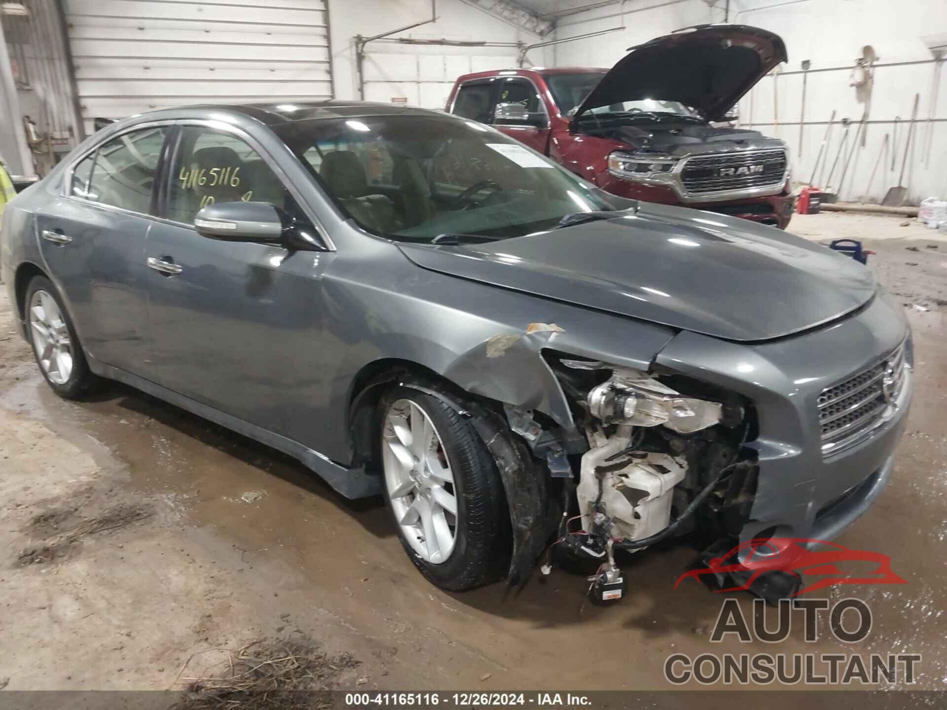 NISSAN MAXIMA 2010 - 1N4AA5AP8AC811108