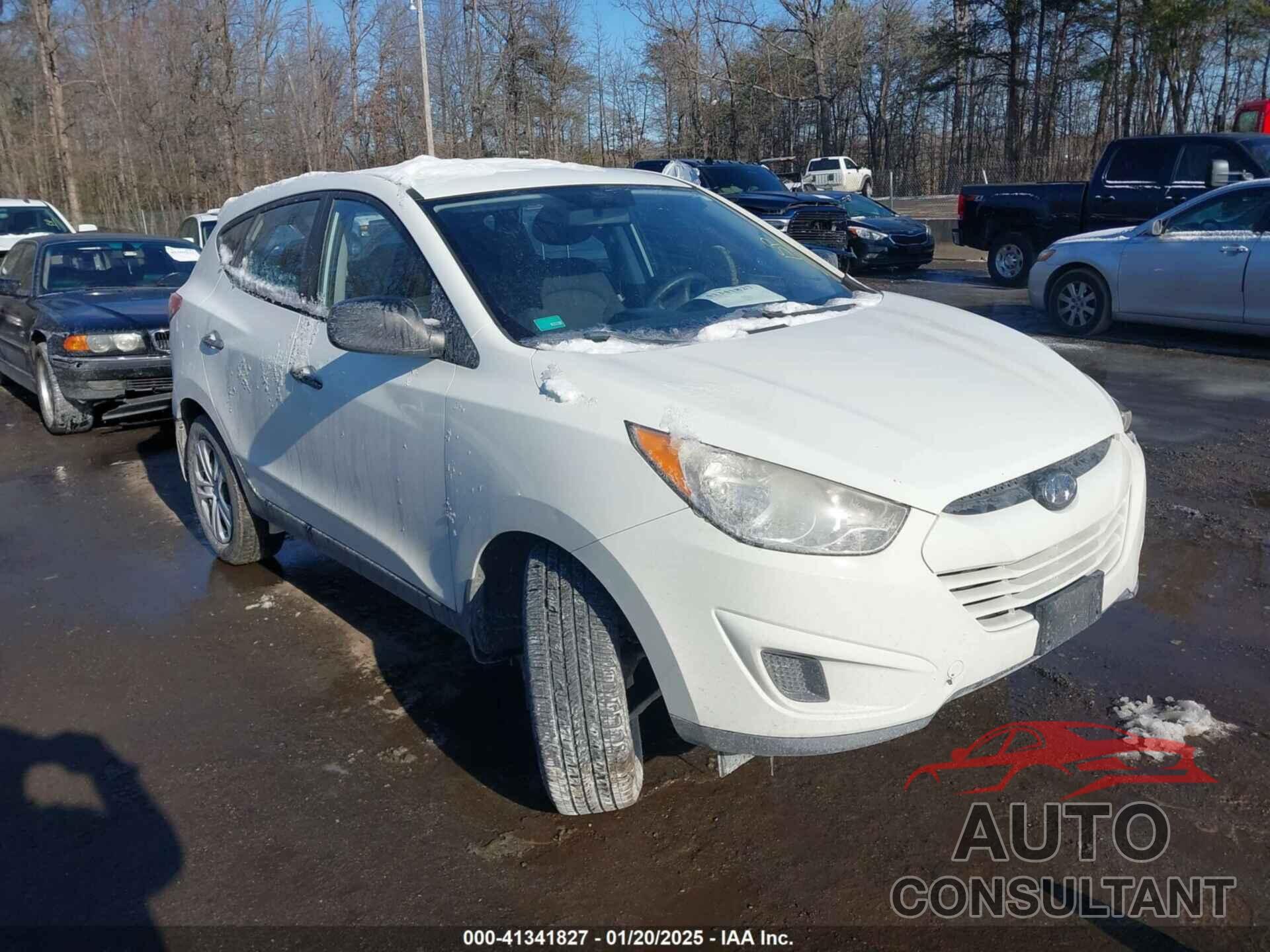 HYUNDAI TUCSON 2010 - KM8JT3AC8AU096844