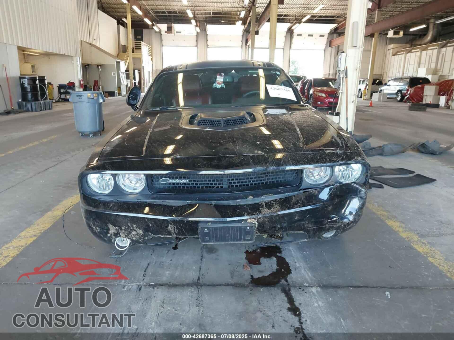 DODGE CHALLENGER 2014 - 2C3CDYBT4EH281993