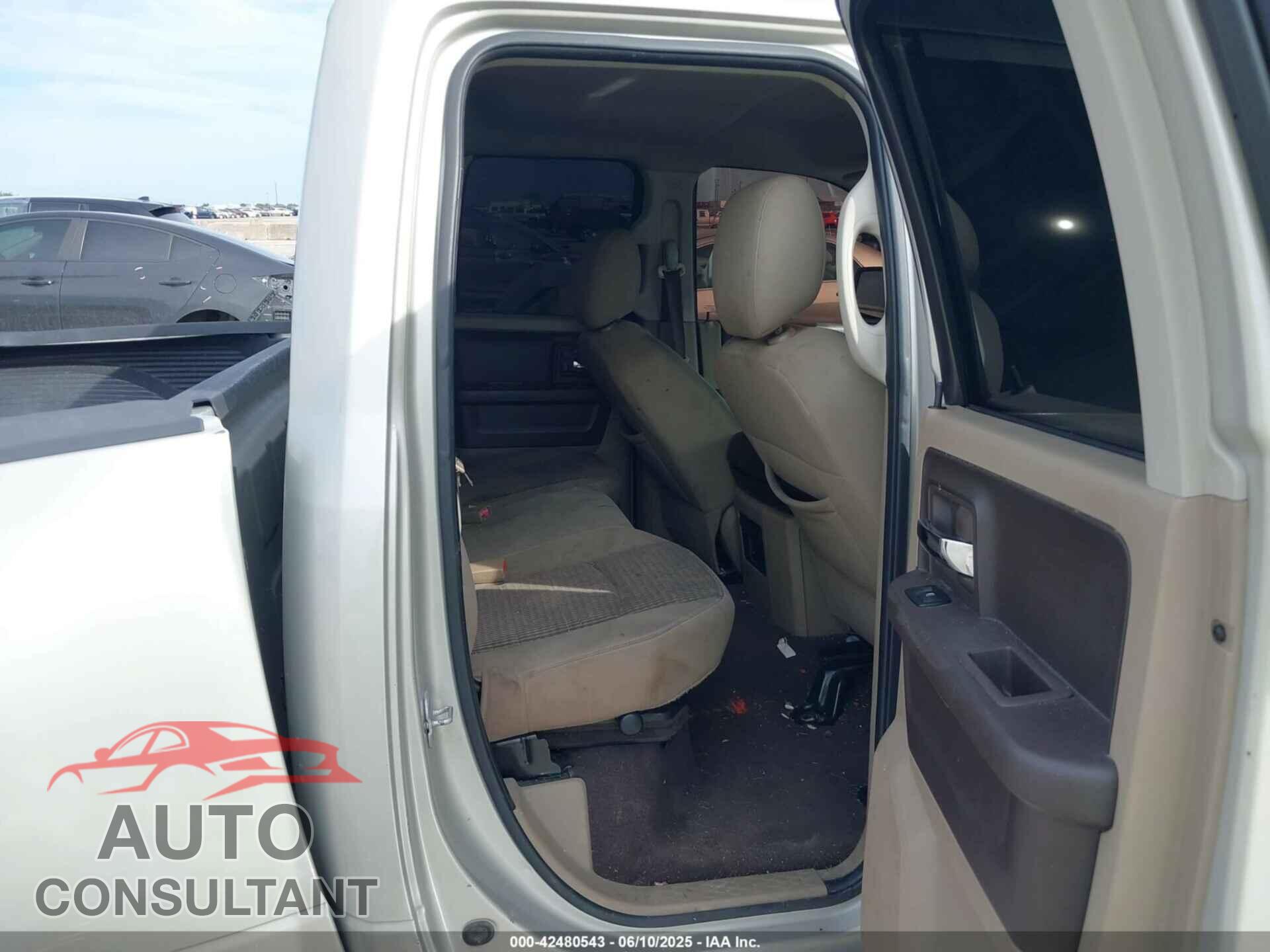 DODGE RAM 1500 2010 - 1D7RB1GT2AS194789