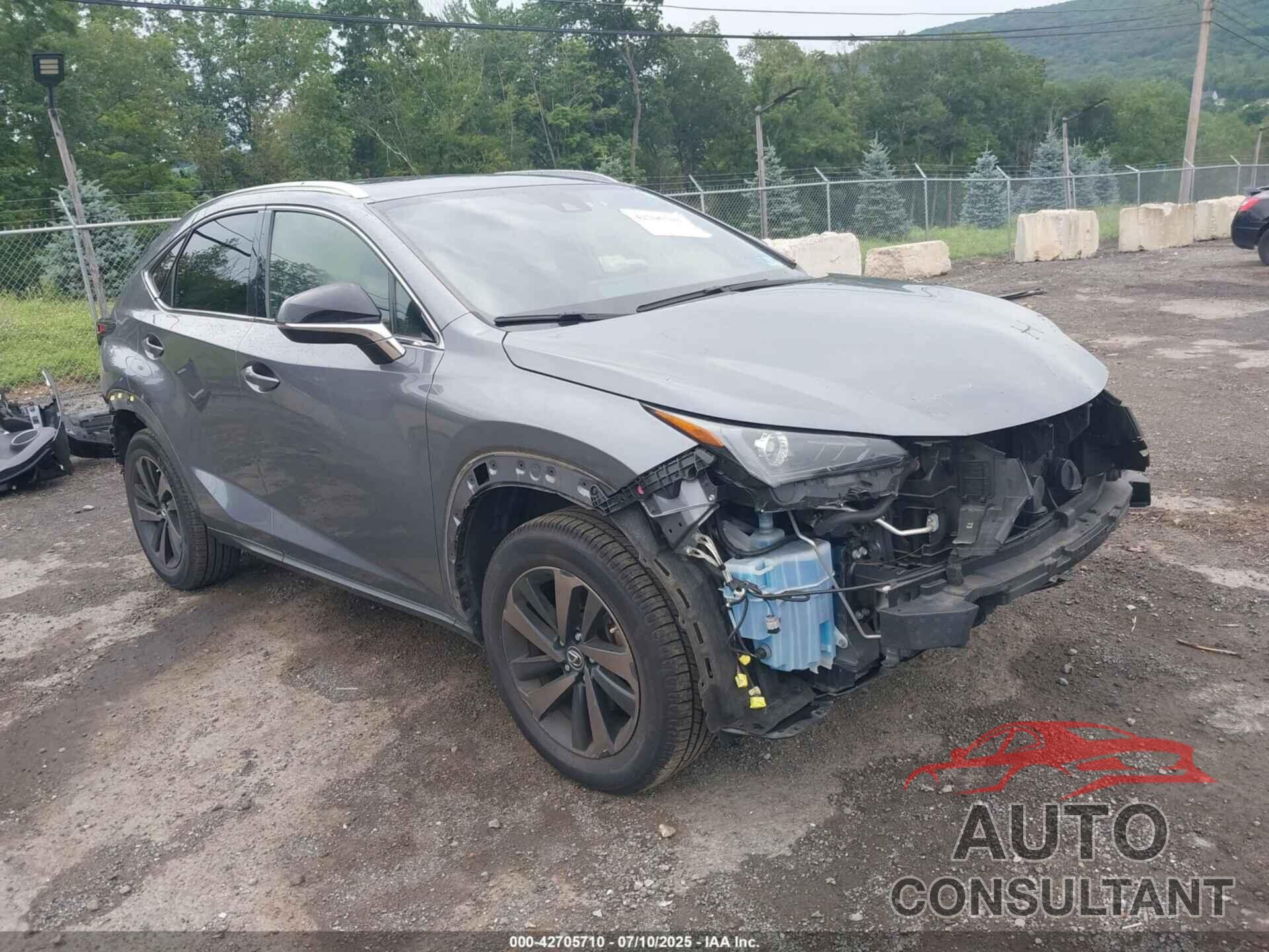 LEXUS NX 300 2020 - JTJGARDZ9L2229274
