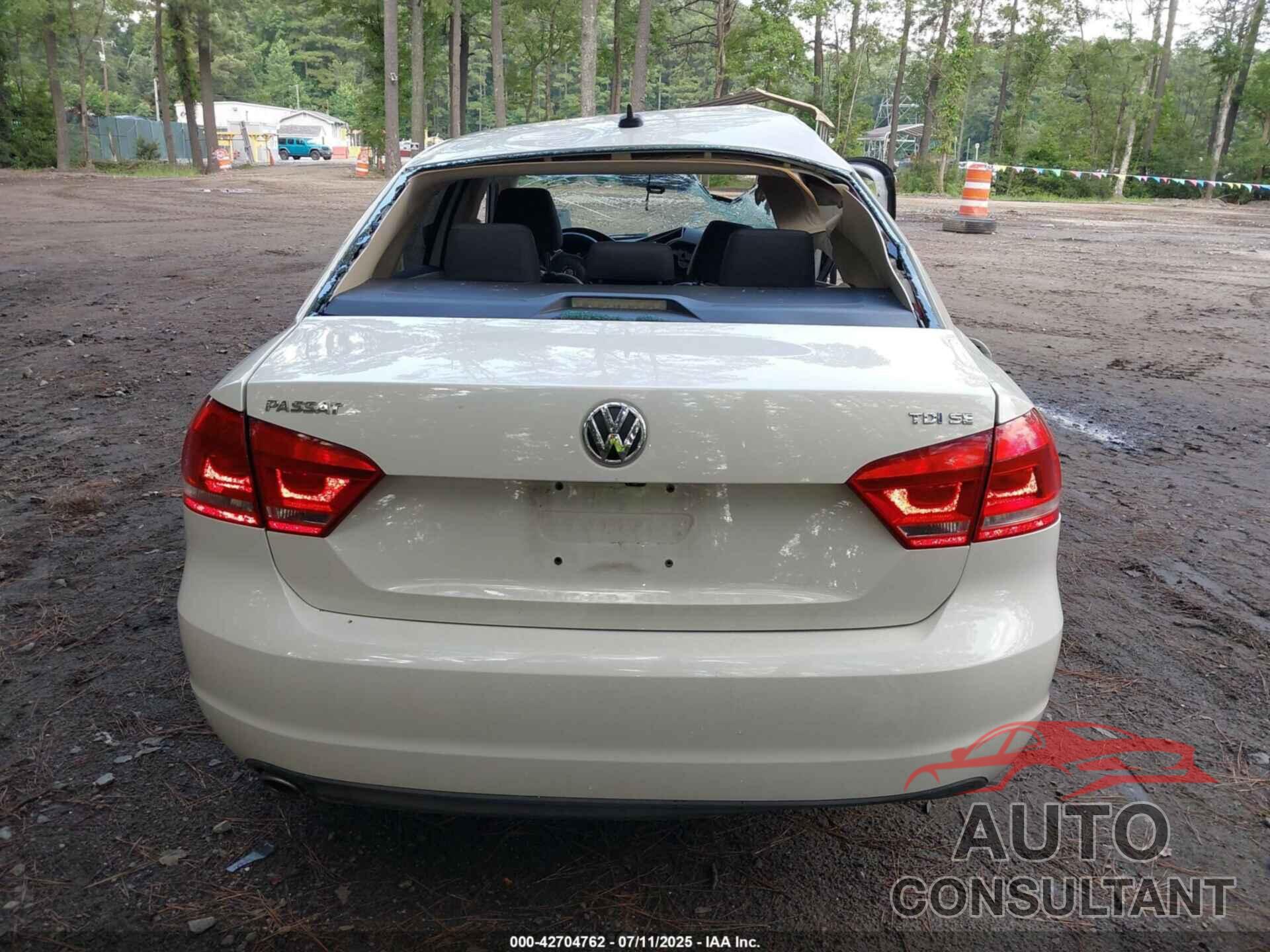 VOLKSWAGEN PASSAT 2014 - 1VWBN7A30EC112103