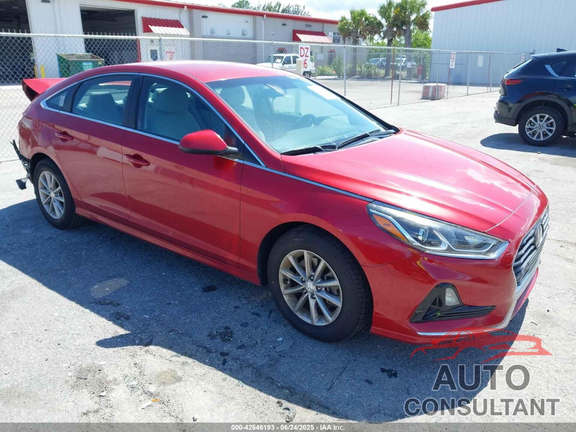 HYUNDAI SONATA 2019 - 5NPE24AF2KH744084