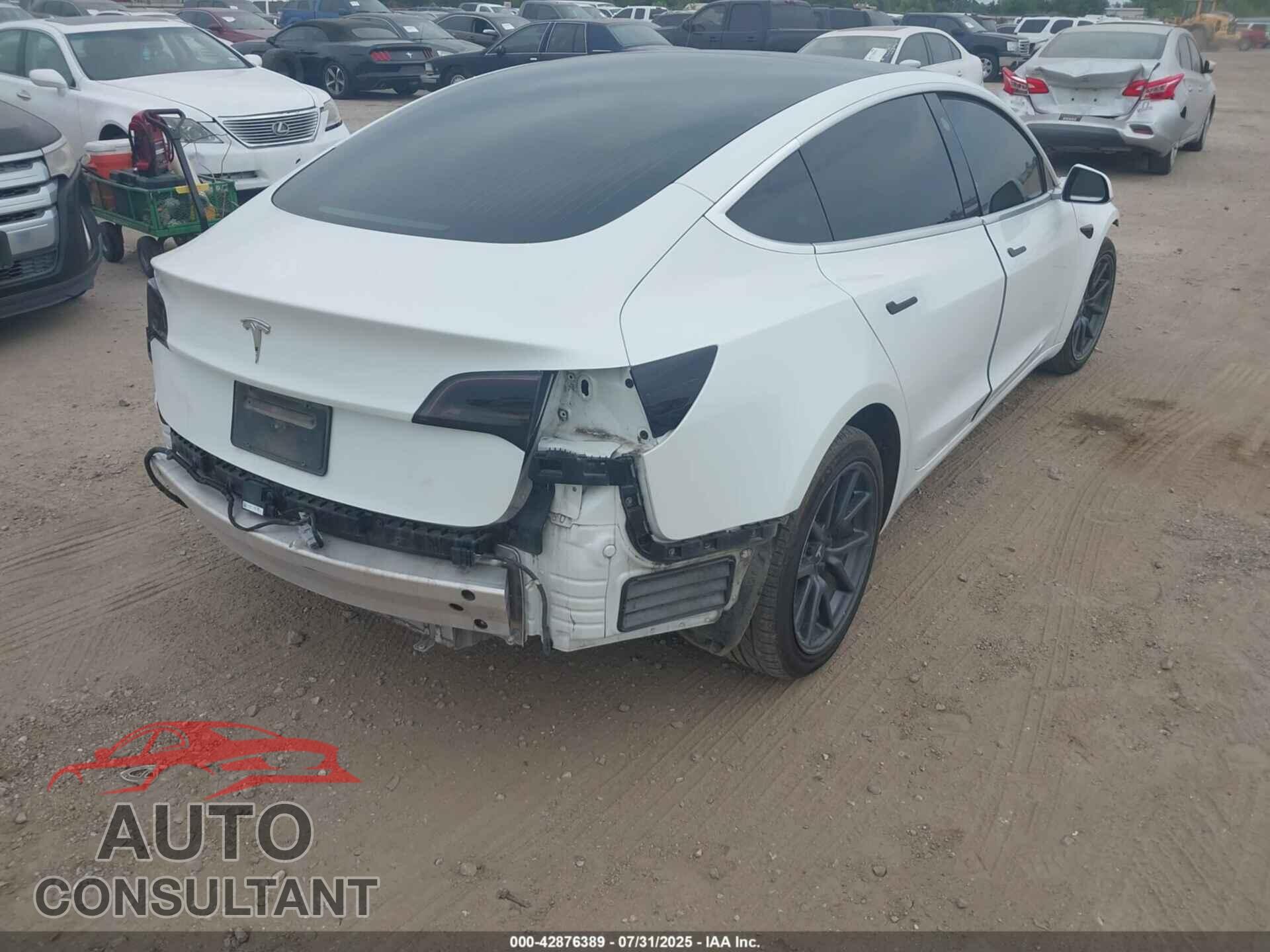 TESLA MODEL 3 2019 - 5YJ3E1EA5KF486587