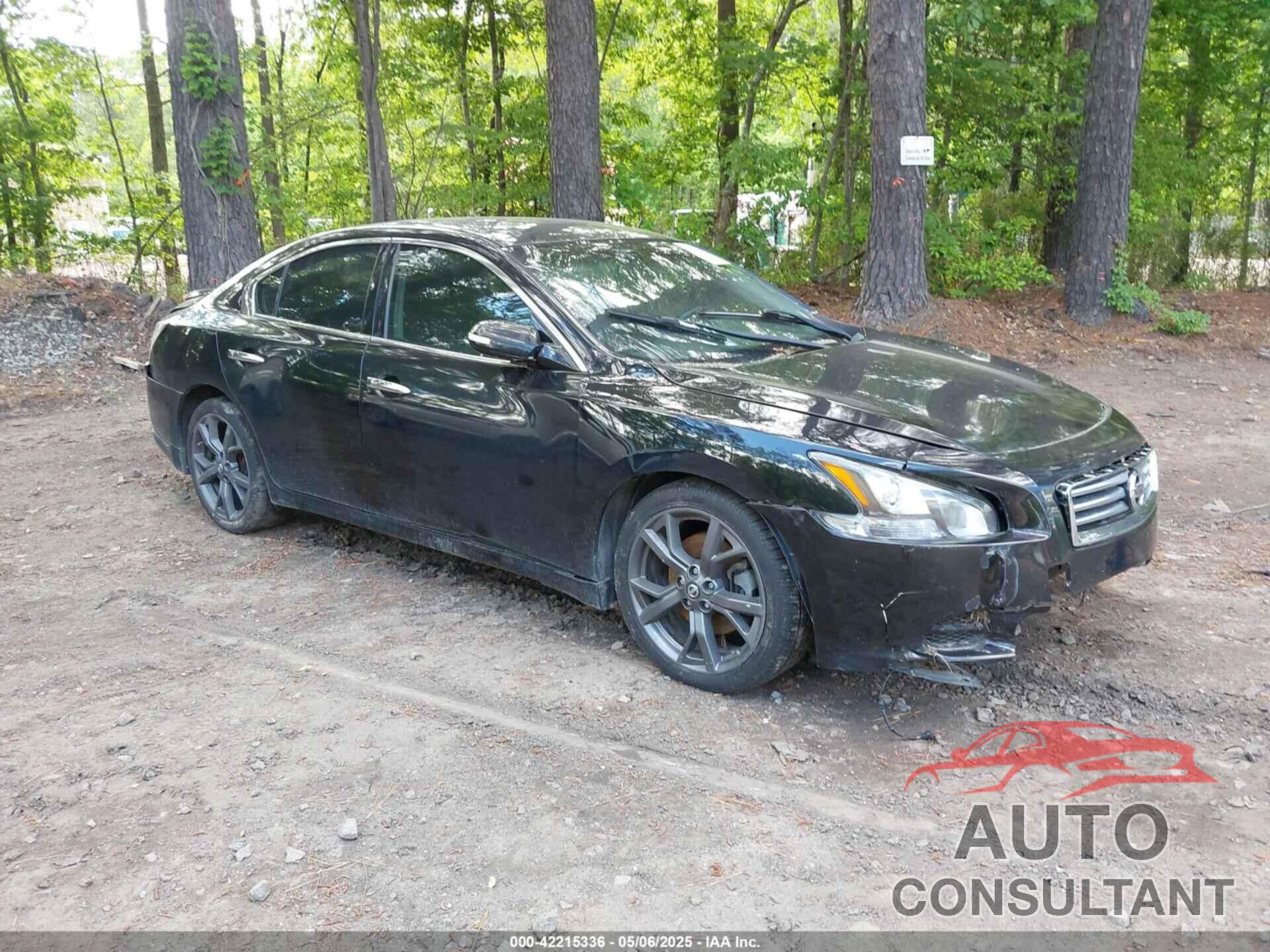 NISSAN MAXIMA 2013 - 1N4AA5AP0DC828375