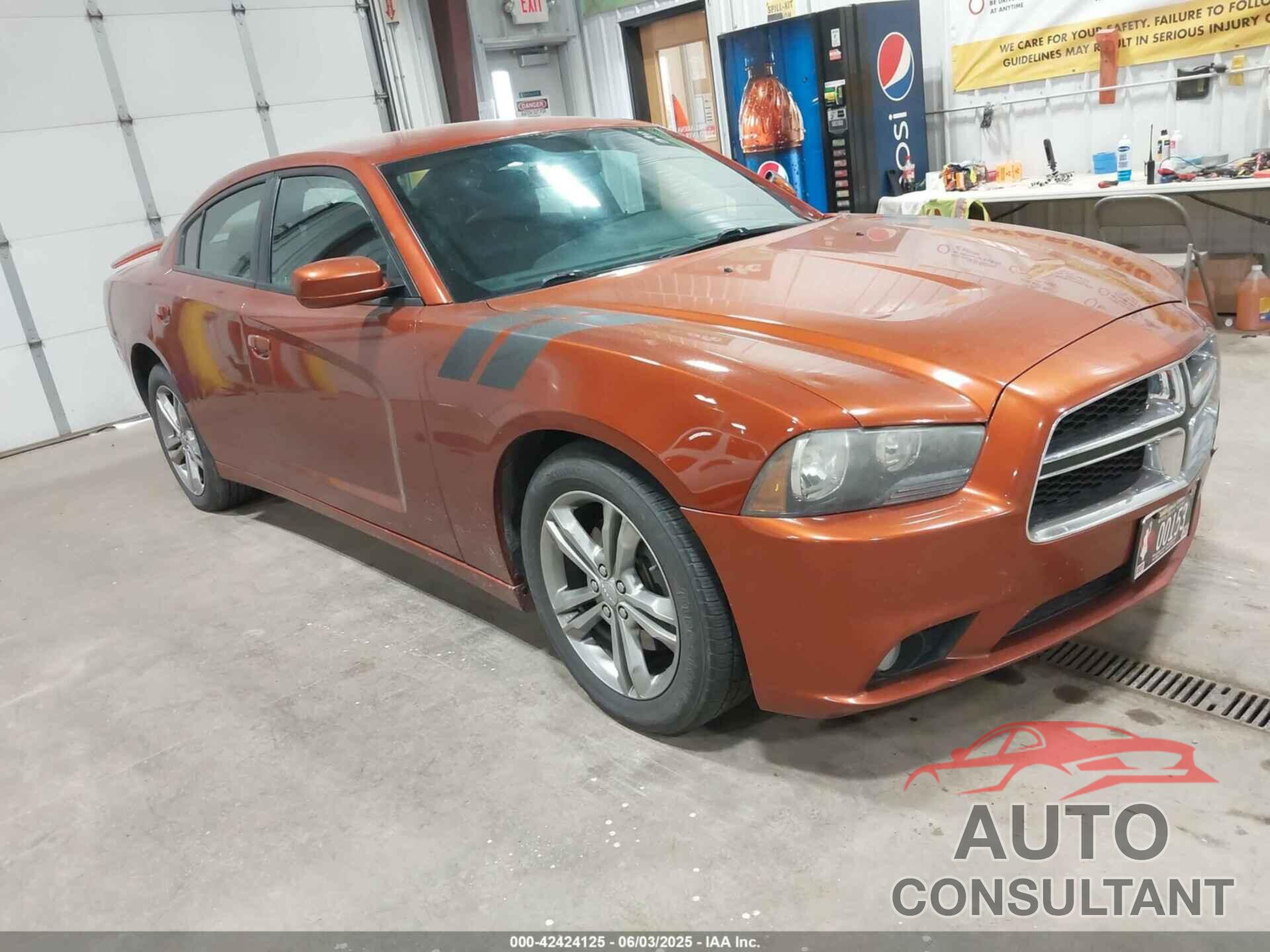 DODGE CHARGER 2013 - 2C3CDXJGXDH591109