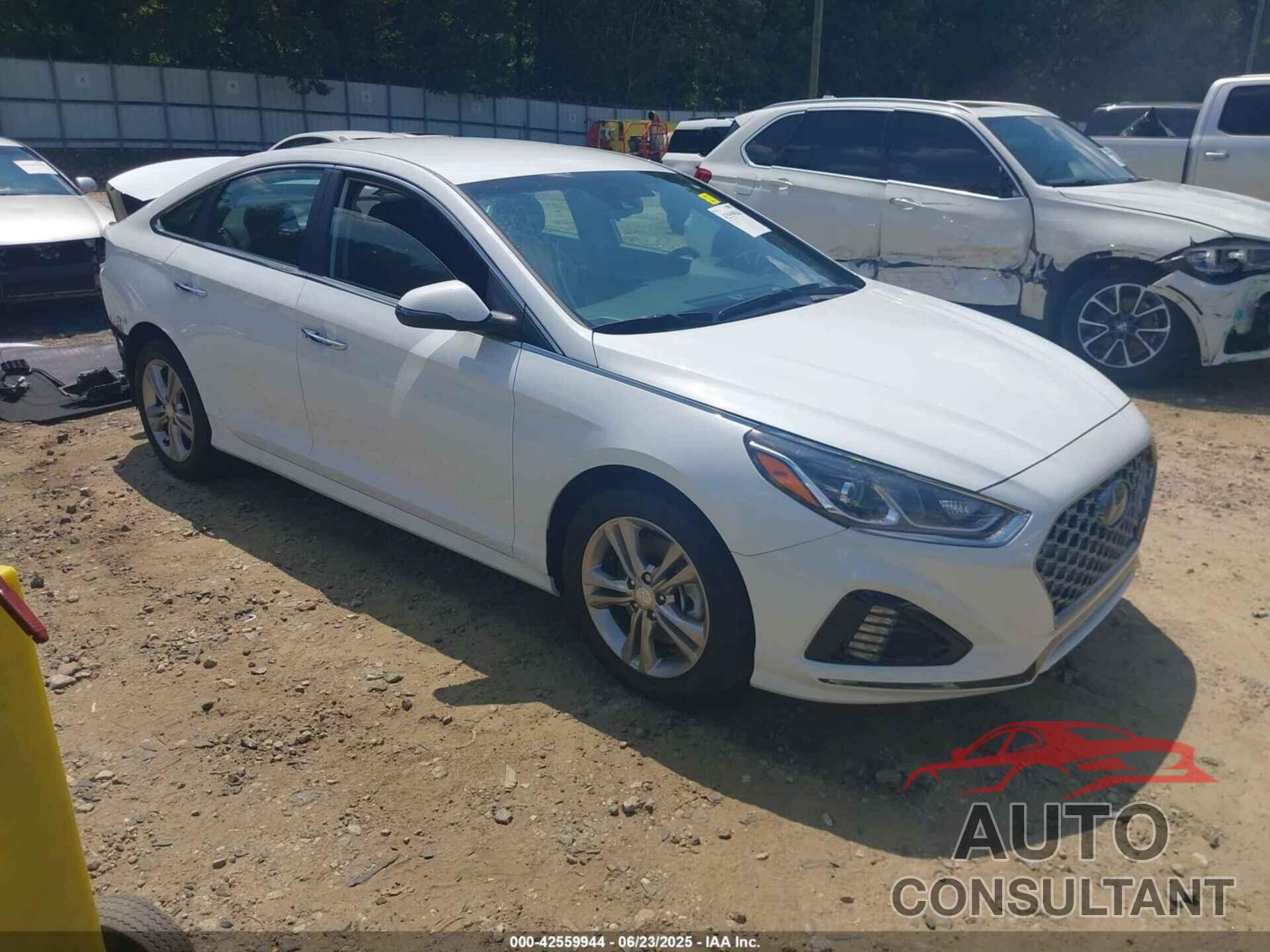 HYUNDAI SONATA 2019 - 5NPE34AF6KH814148