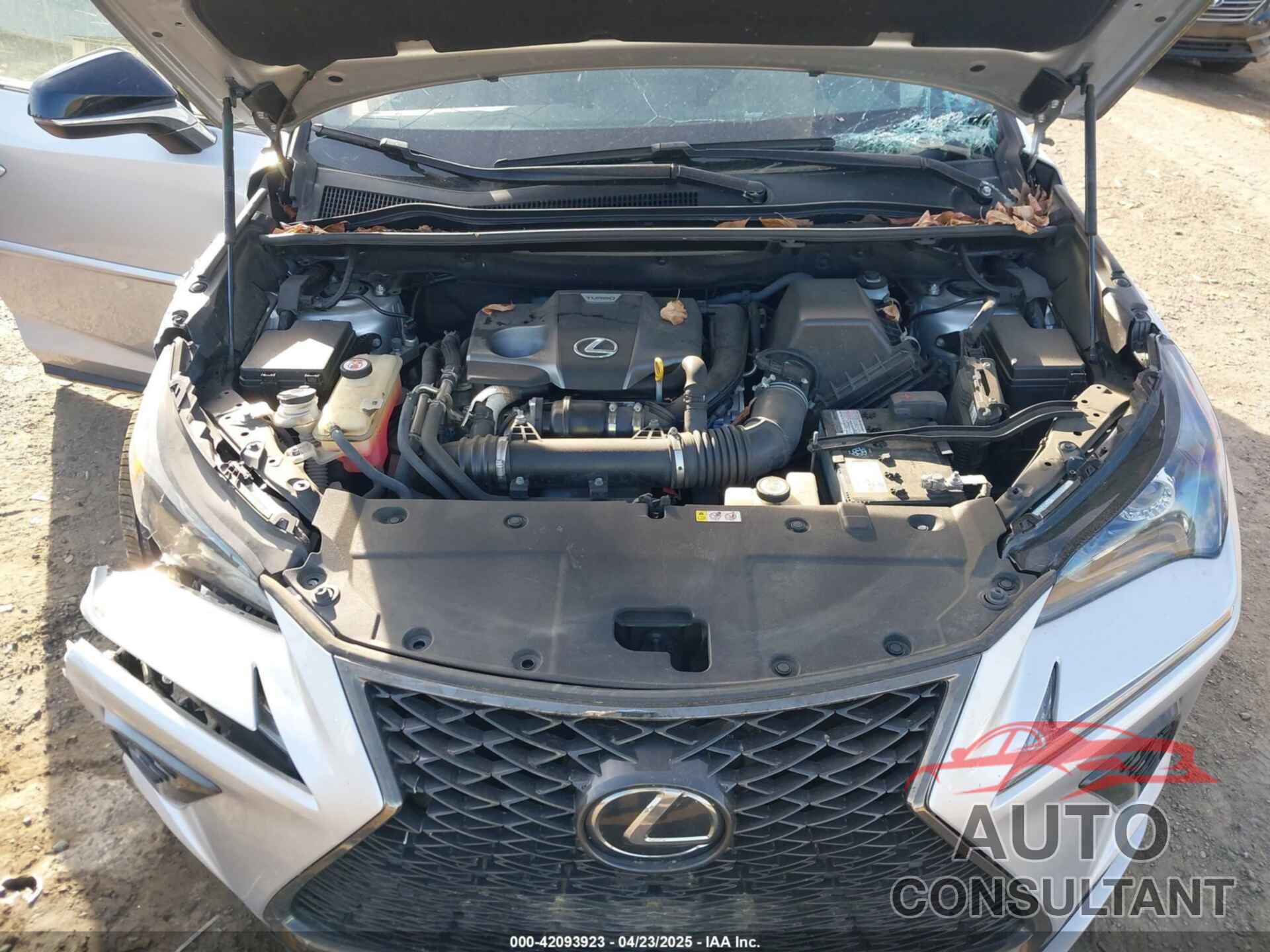 LEXUS NX 300 2019 - JTJBARBZ6K2196746
