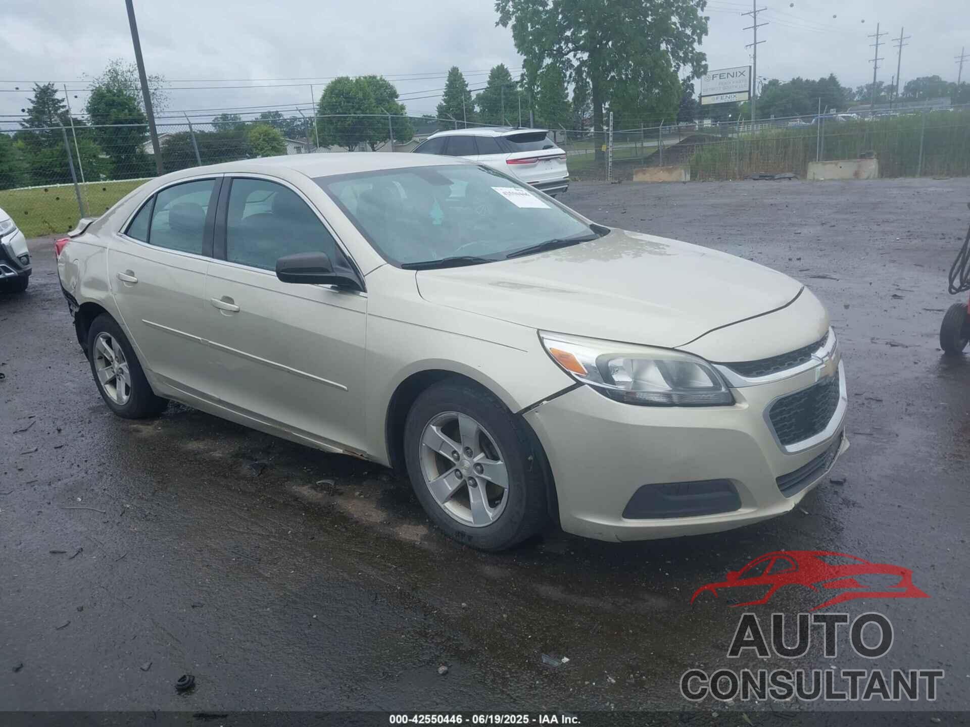 CHEVROLET MALIBU 2014 - 1G11B5SL7EF134911