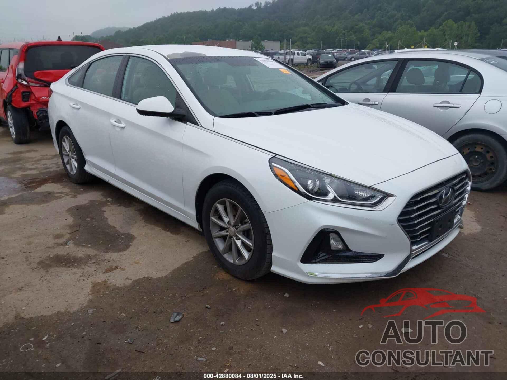 HYUNDAI SONATA 2019 - 5NPE24AF6KH792168
