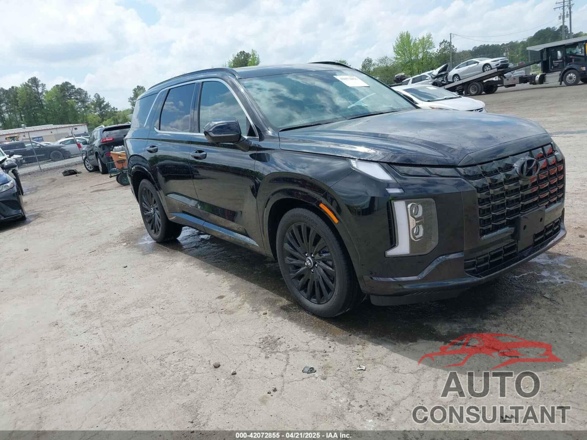 HYUNDAI PALISADE 2024 - KM8R7DGE9RU739025