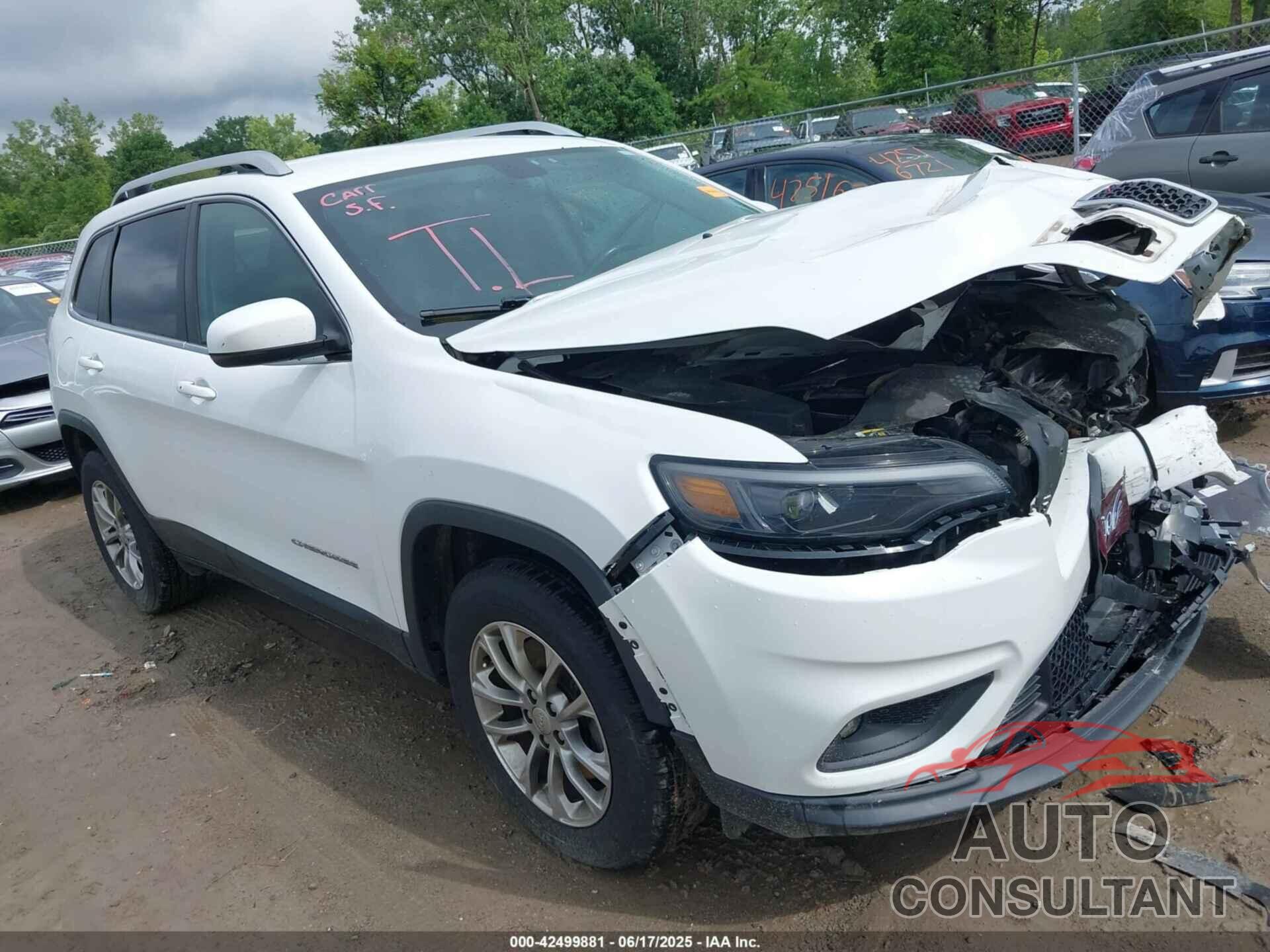 JEEP CHEROKEE 2019 - 1C4PJMLB9KD114168
