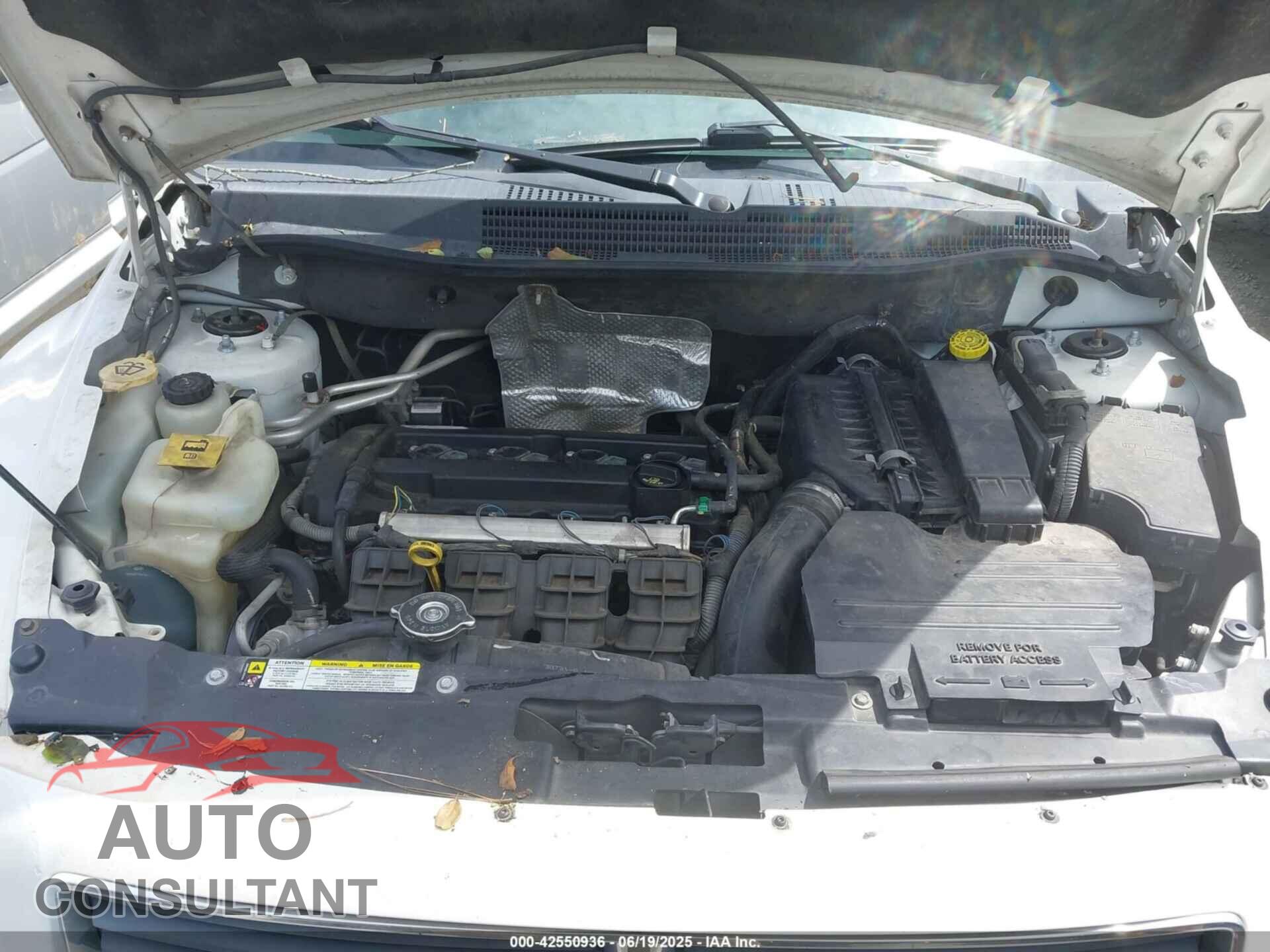 DODGE CALIBER 2009 - 1B3HB48A19D147694