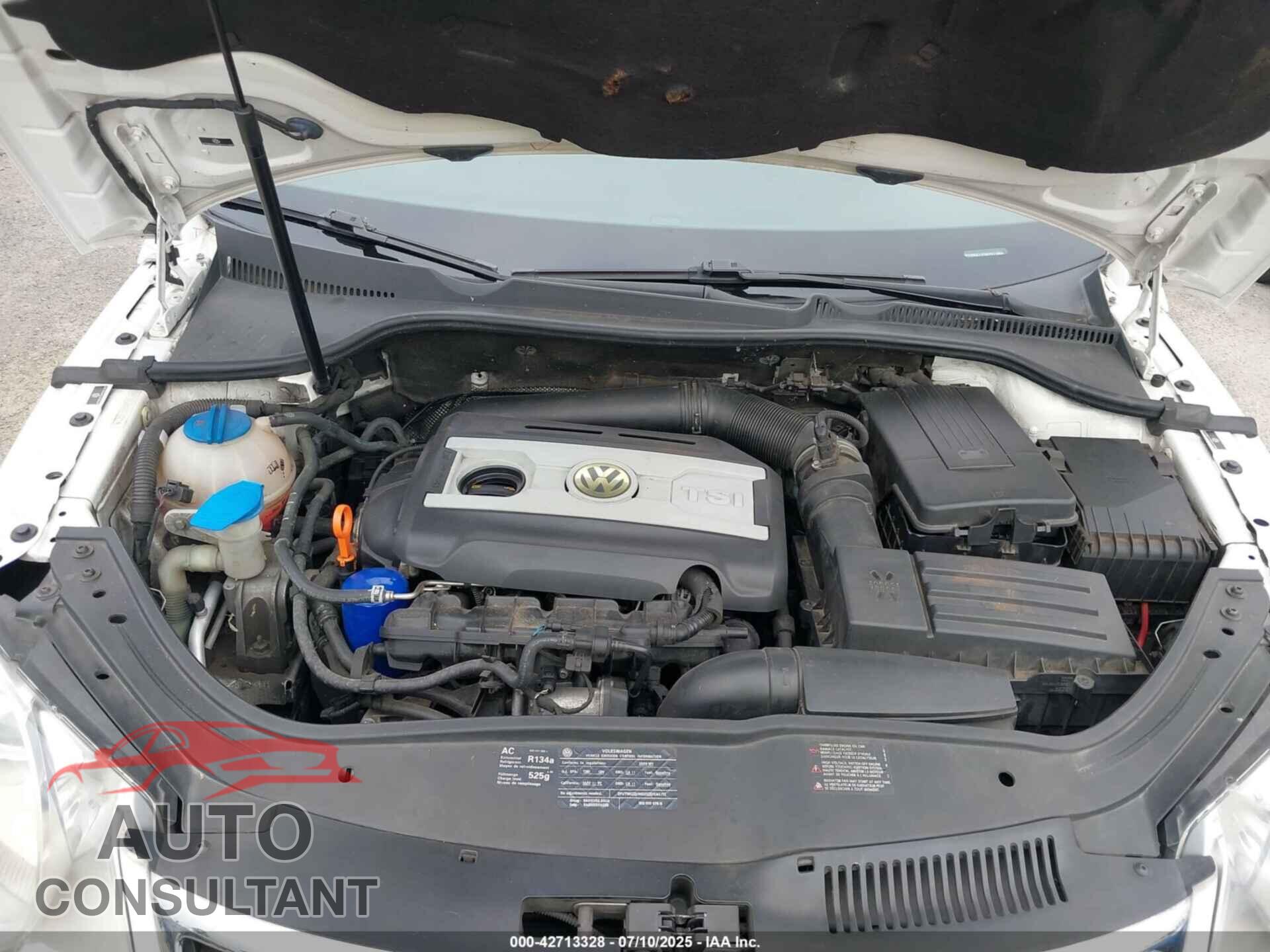 VOLKSWAGEN EOS 2009 - WVWBA71F09V011663