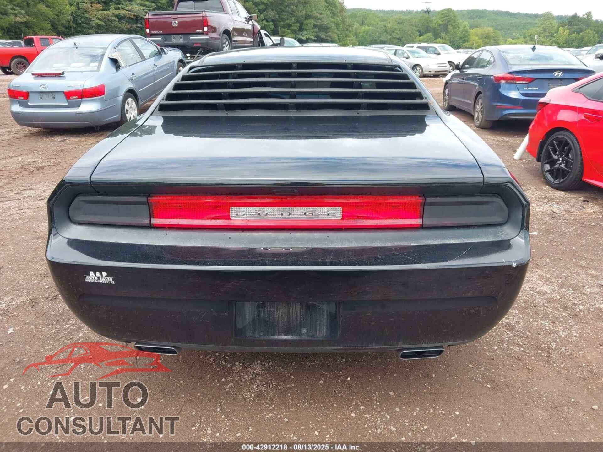 DODGE CHALLENGER 2012 - 2C3CDYAG3CH290850