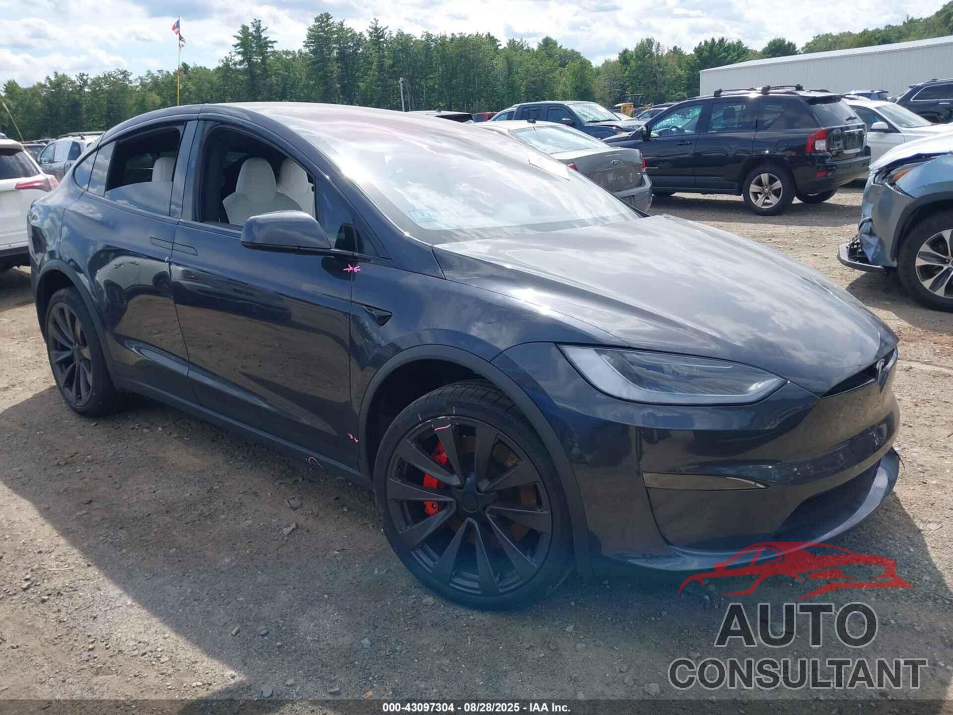 TESLA MODEL X 2023 - 7SAXCBE60PF431371