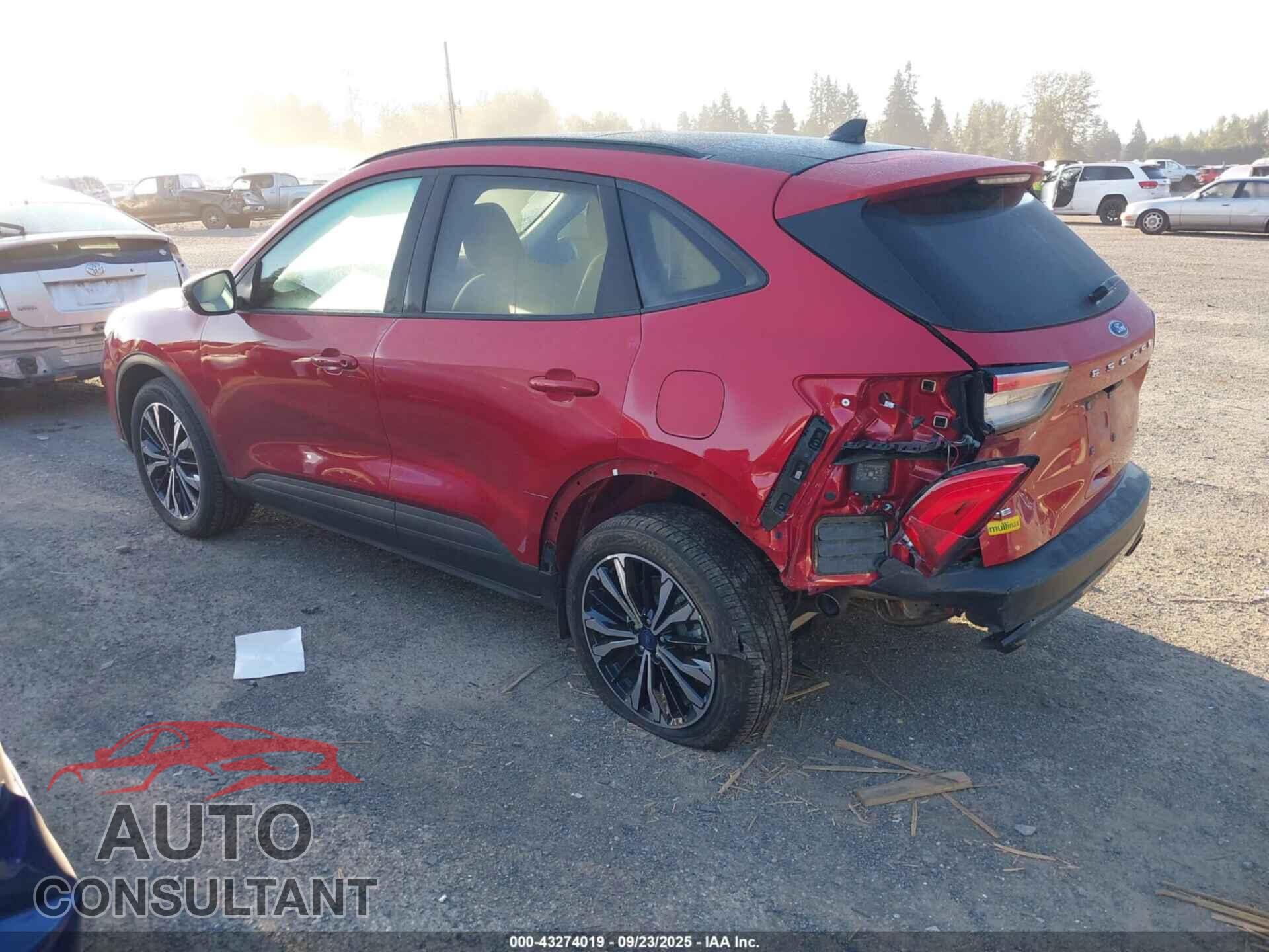 FORD ESCAPE 2021 - 1FMCU9BZ6MUB20249