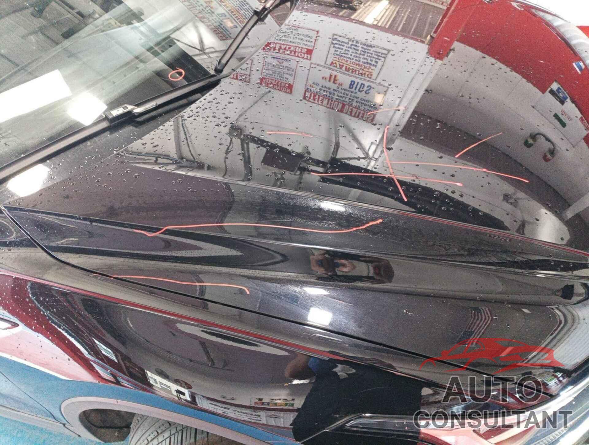 VOLKSWAGEN TIGUAN 2024 - 3VV3B7AX5RM087224