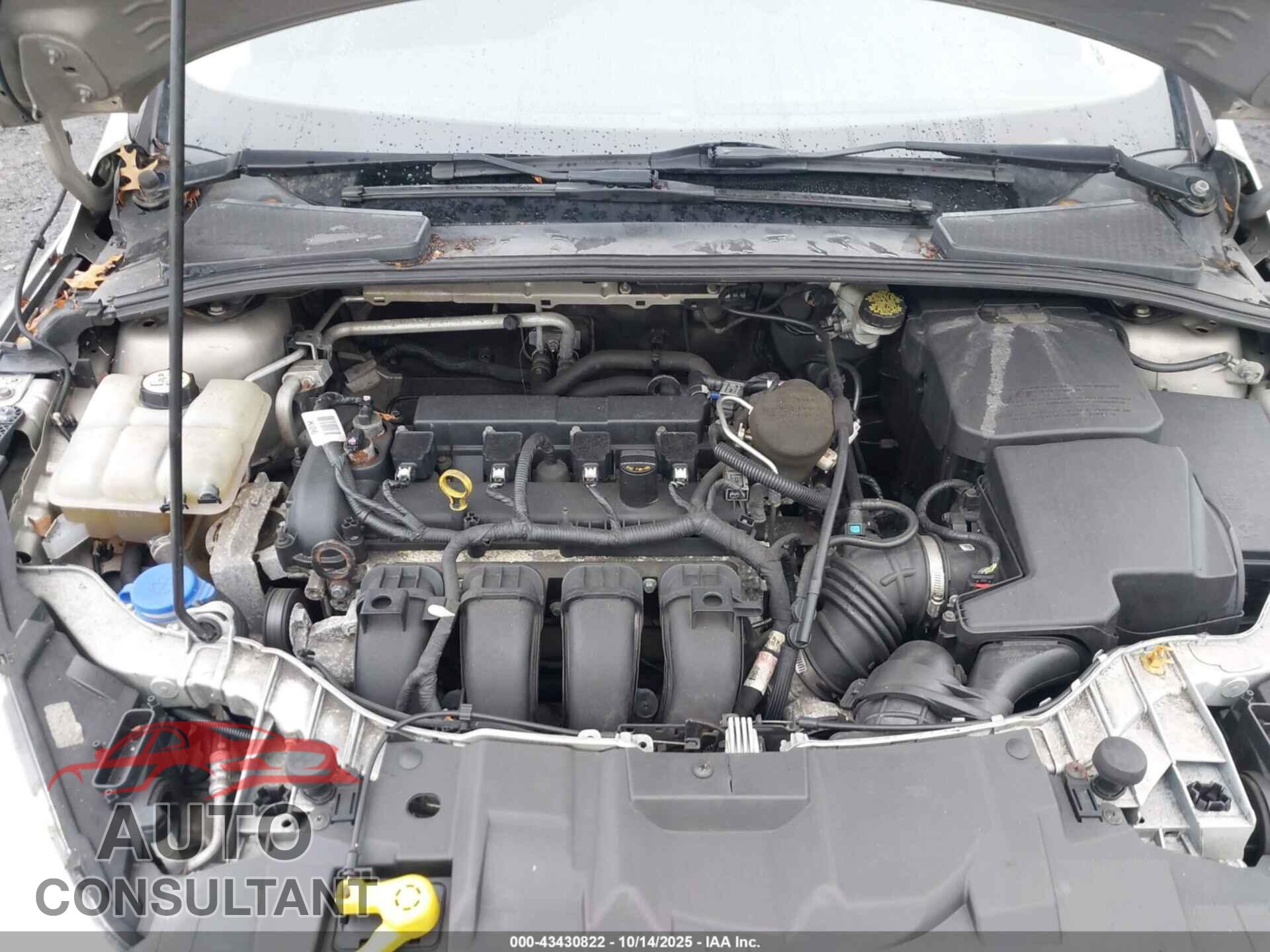 FORD FOCUS 2015 - 1FADP3F29FL285401
