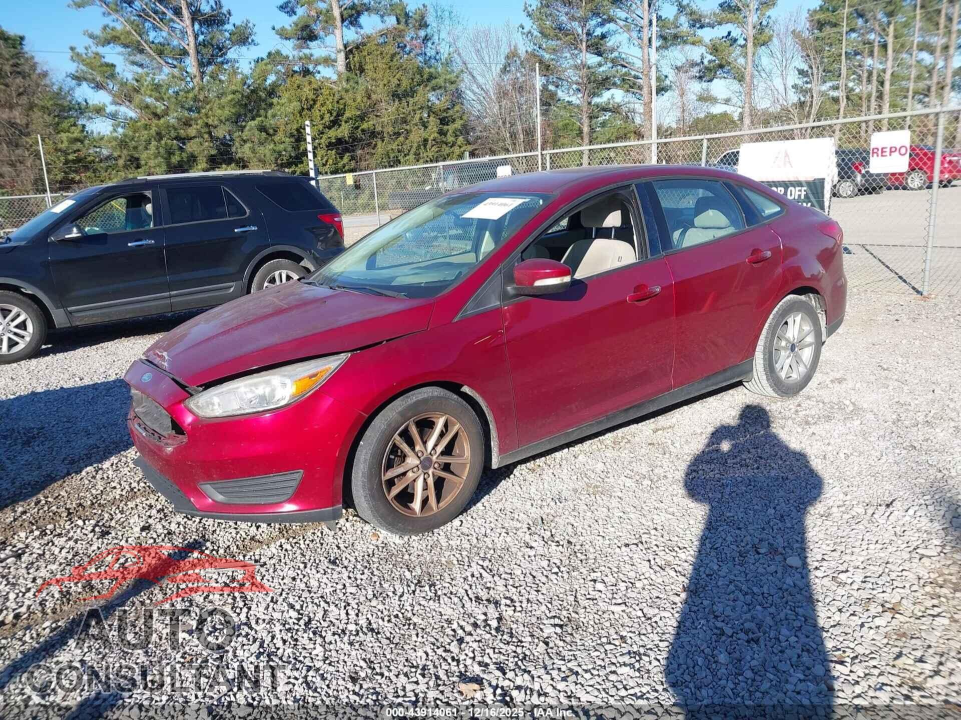 FORD FOCUS 2016 - 1FADP3F29GL219464