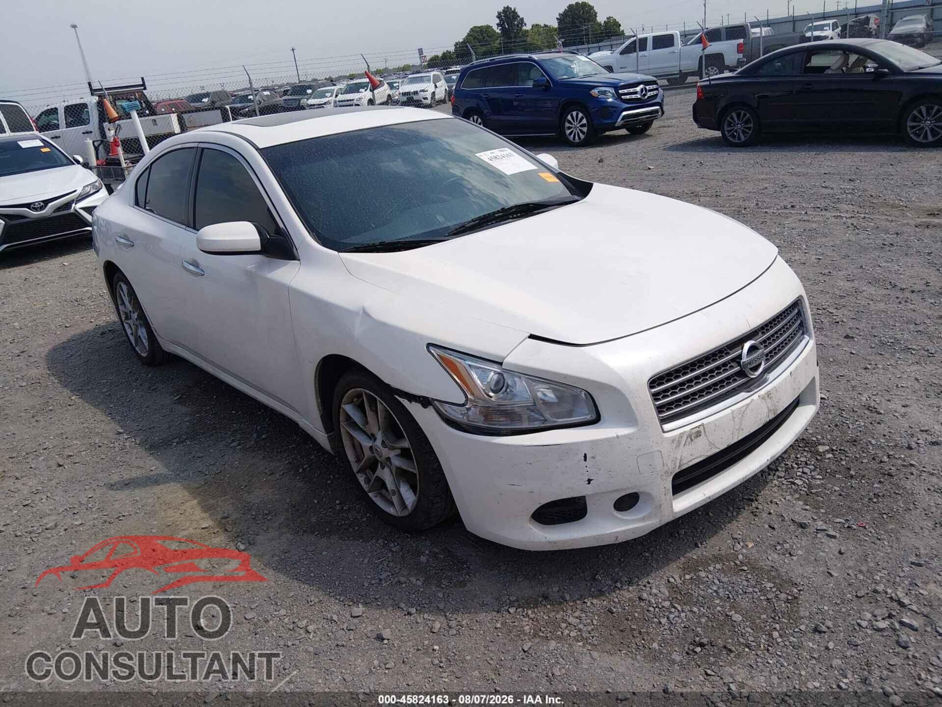 NISSAN MAXIMA 2011 - 1N4AA5AP1BC824719