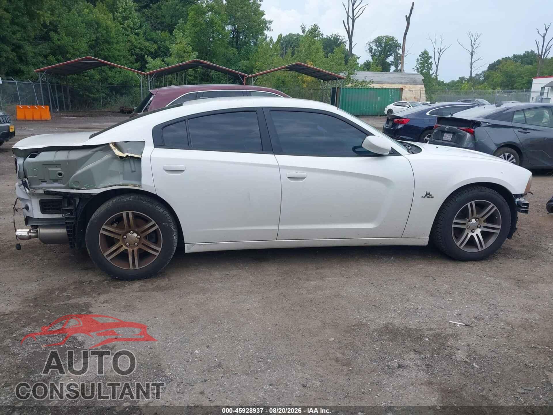DODGE CHARGER 2014 - 2C3CDXCT3EH344719