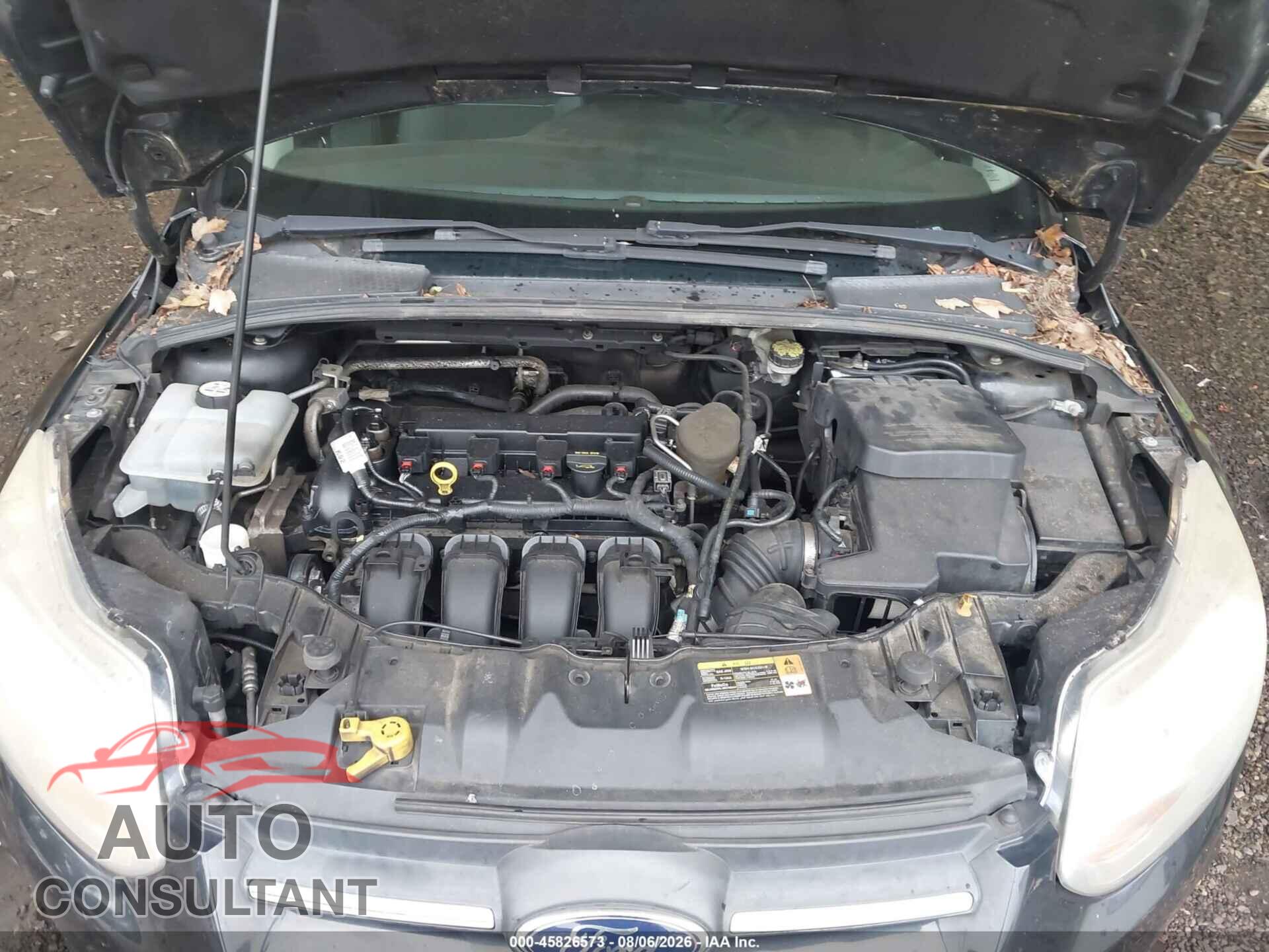 FORD FOCUS 2014 - 1FADP3F20EL166750
